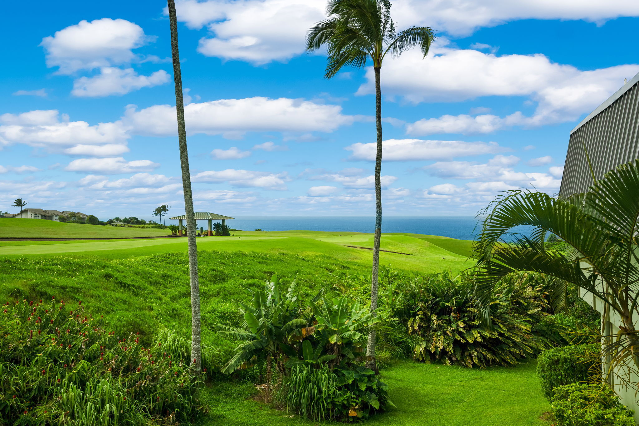 3880 Wyllie Rd, 15D, Princeville, HI 96722