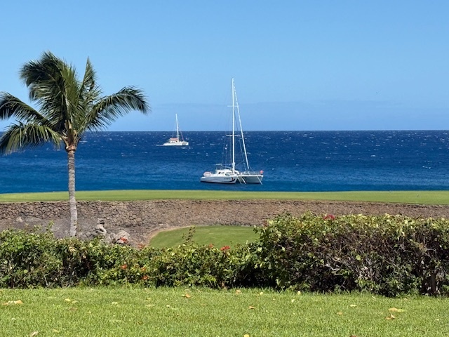 68-1050 Mauna Lani Point Dr, D101, Kamuela, HI 96743