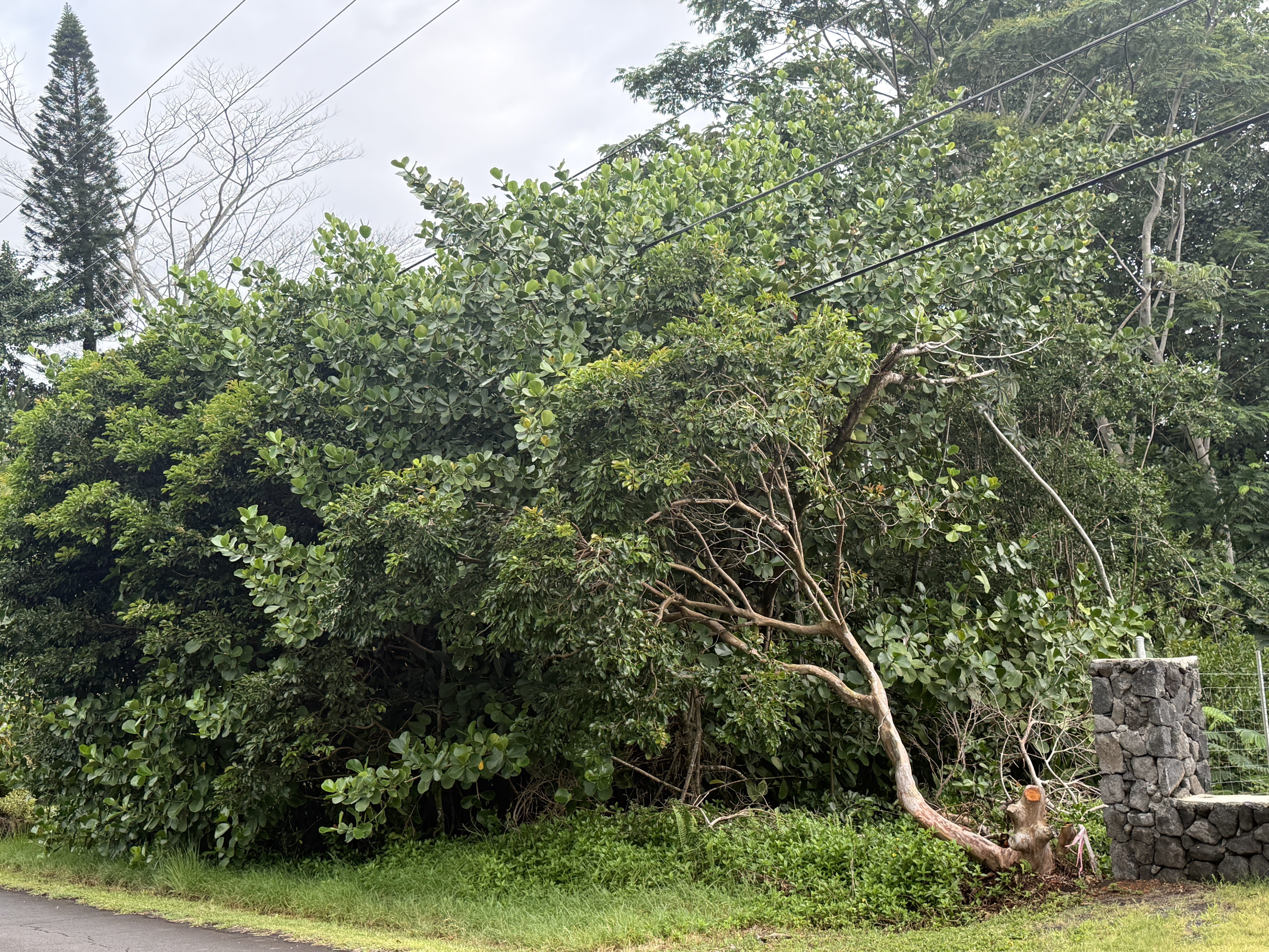 15-1611 Beach Rd, Keaau, HI 96749