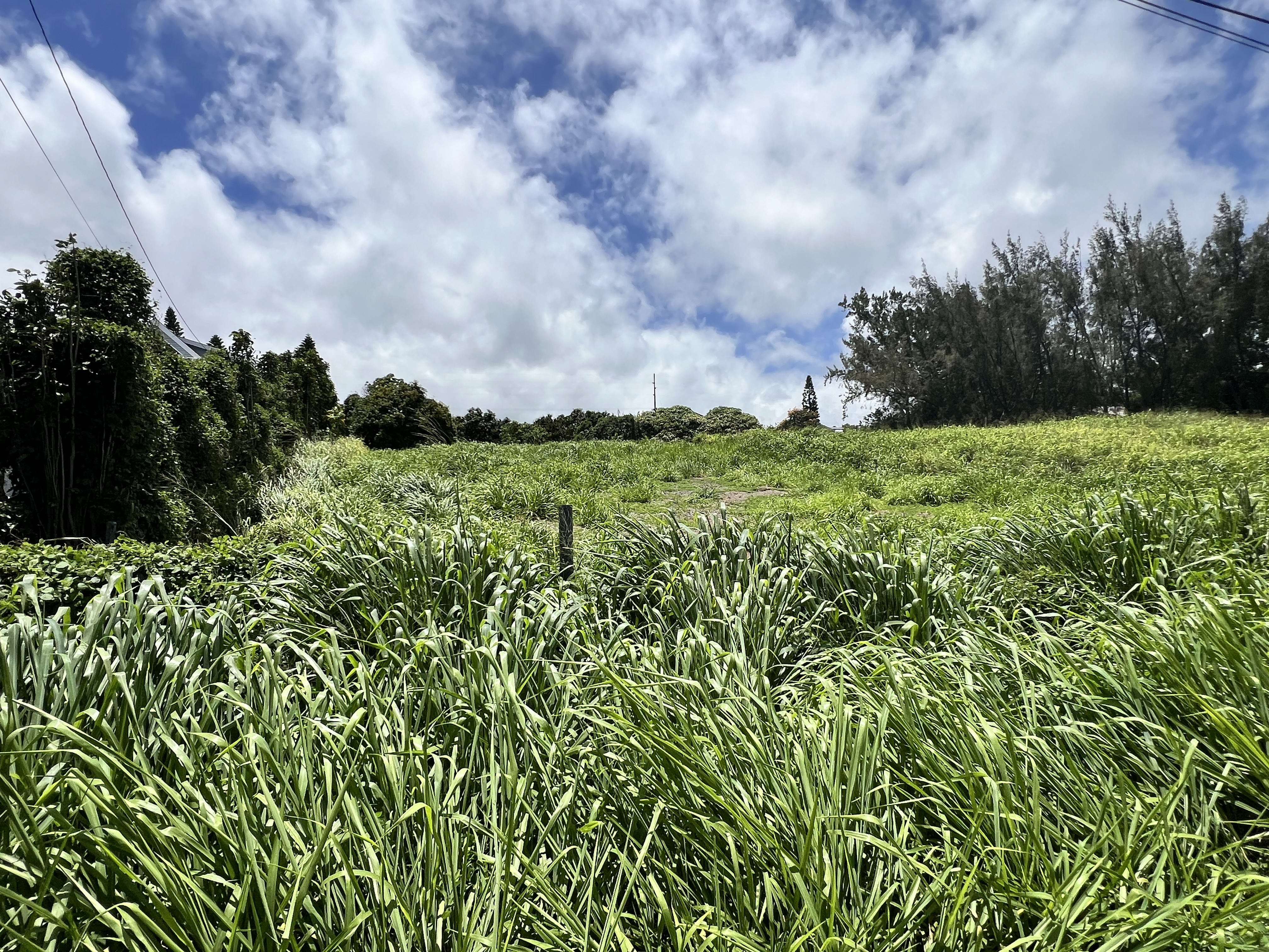 94-6493 Keoki Road, Naalehu, HI 96772
