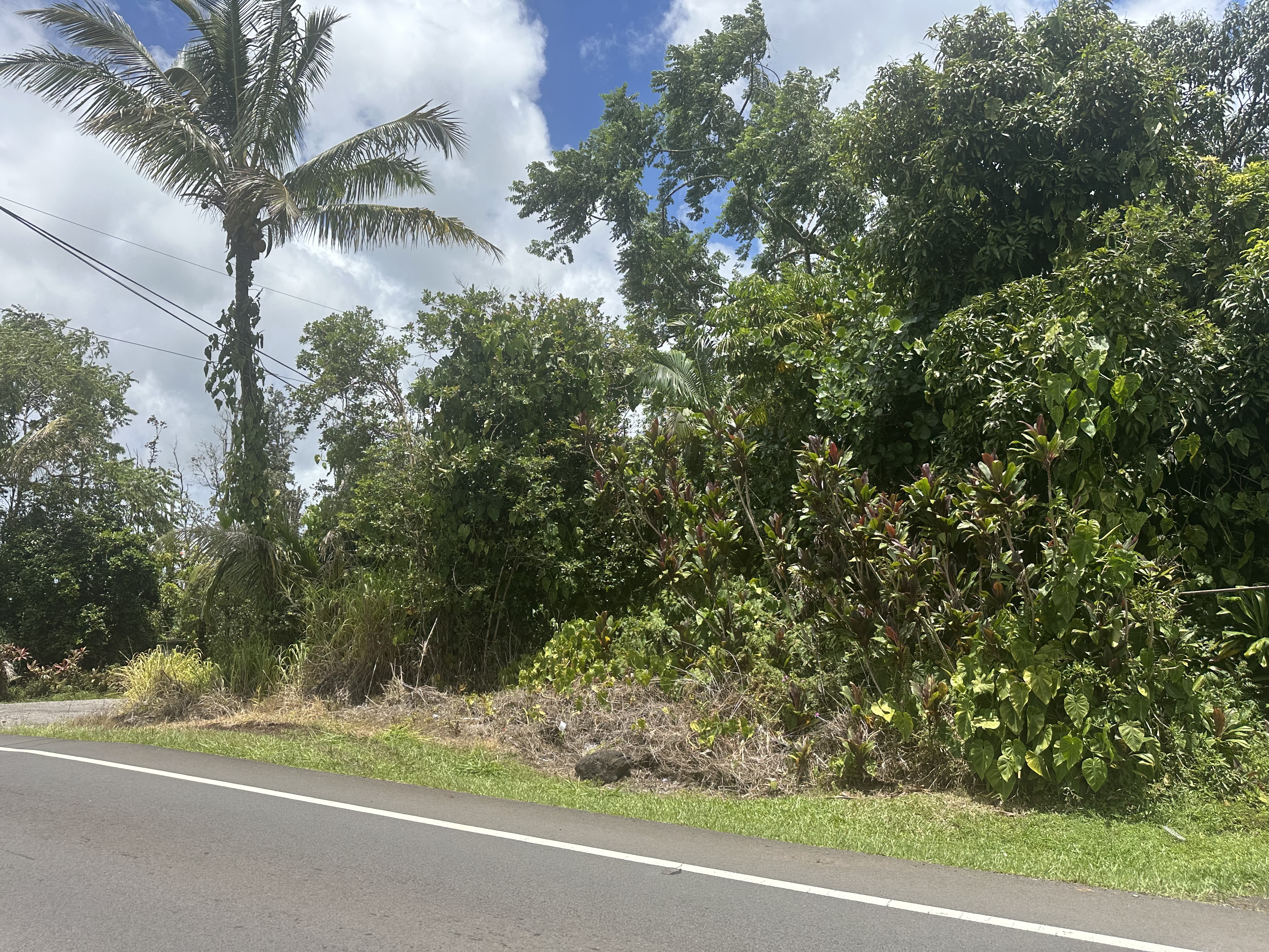 16-462 Ainaloa Blvd, Keaau, HI 96749