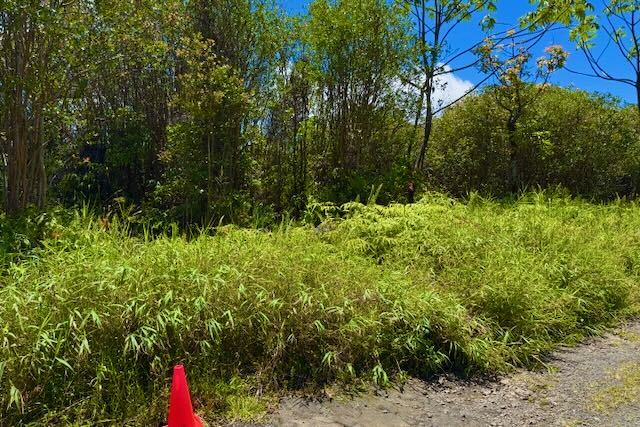 16-1495 Io Kea Rd, Kurtistown, HI 96760