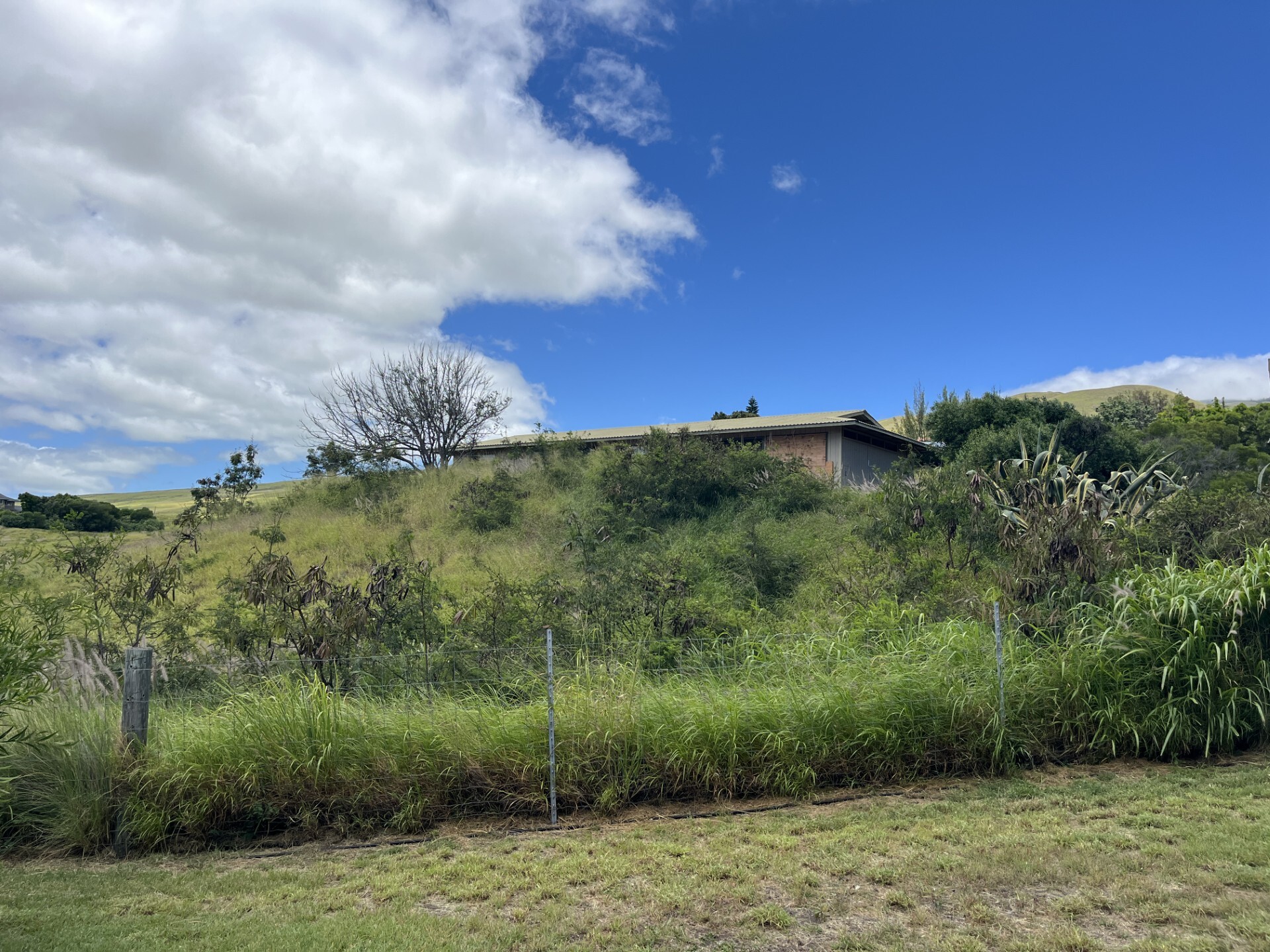 62-2280 Kanehoa St, 1, Kamuela, HI 96743