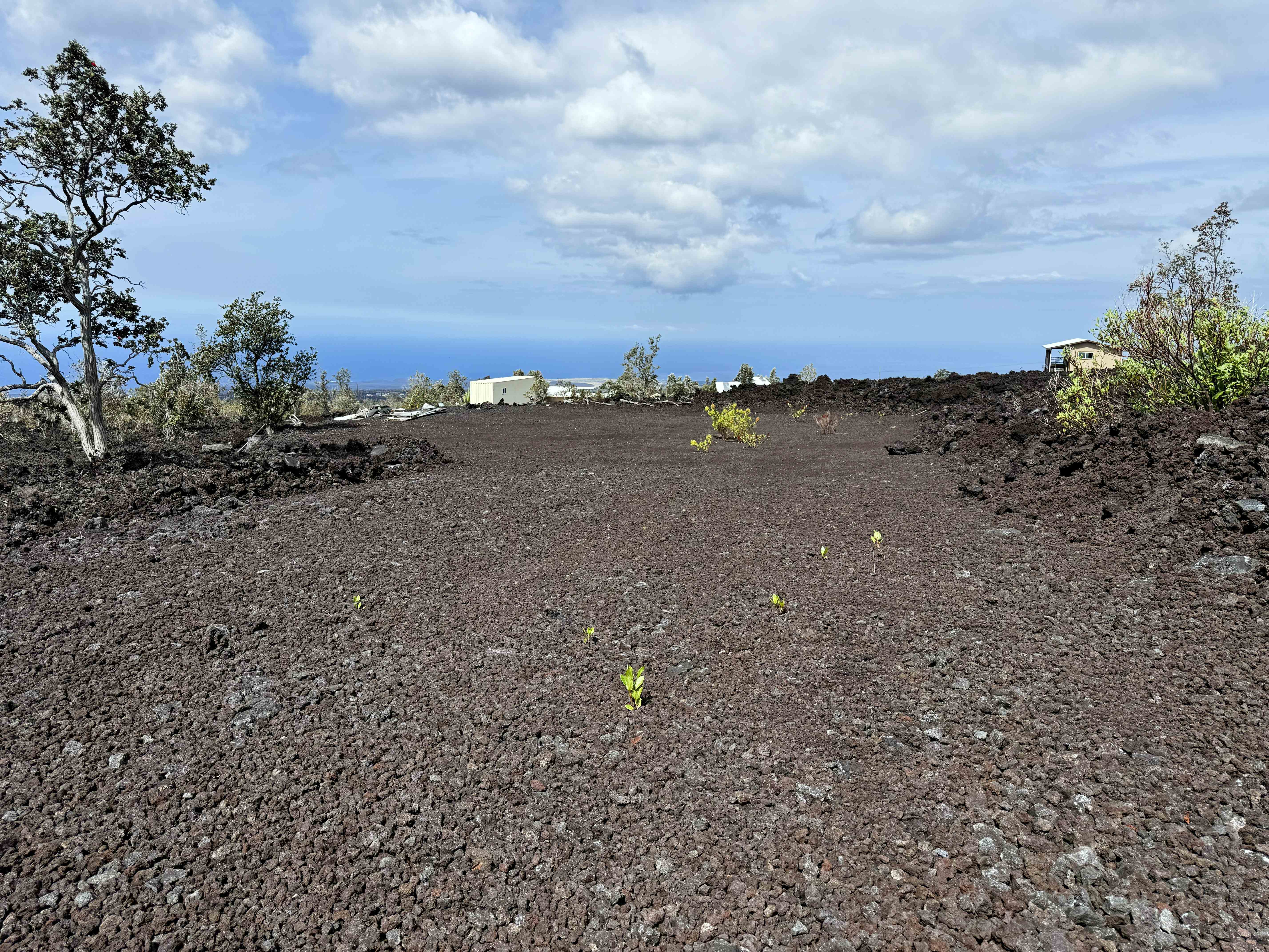 92-8911 Lehua Lane, Ocean View, HI 96737