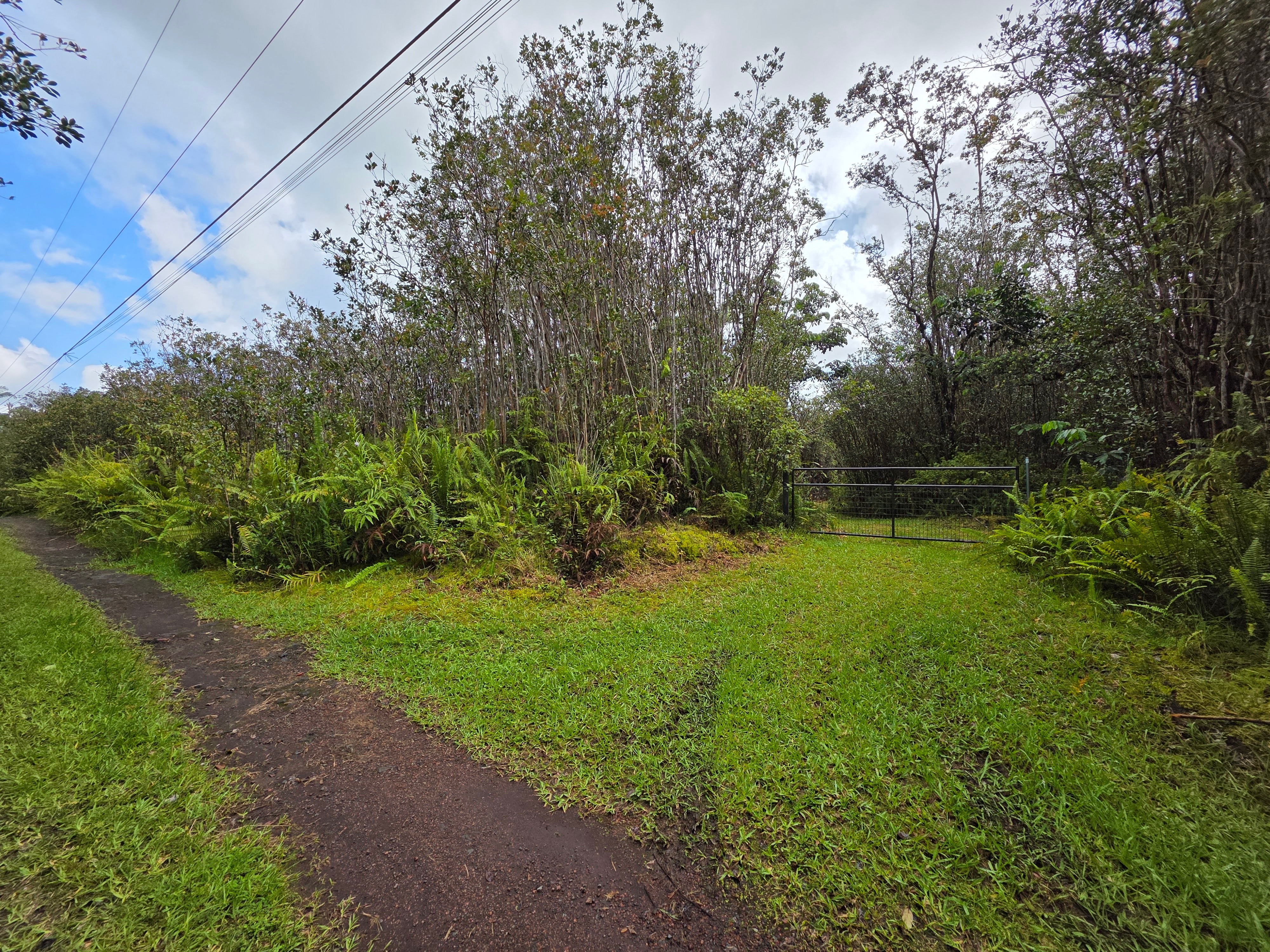 16-1437 Opeapea Rd, Kurtistown, HI 96760