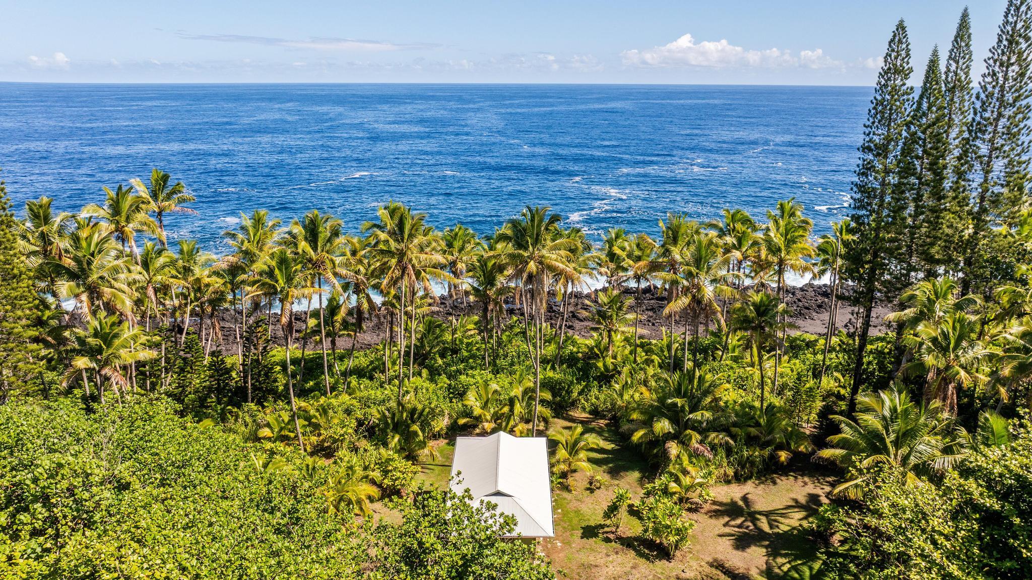 15-2649 Government Beach Rd, Pahoa, HI 96778
