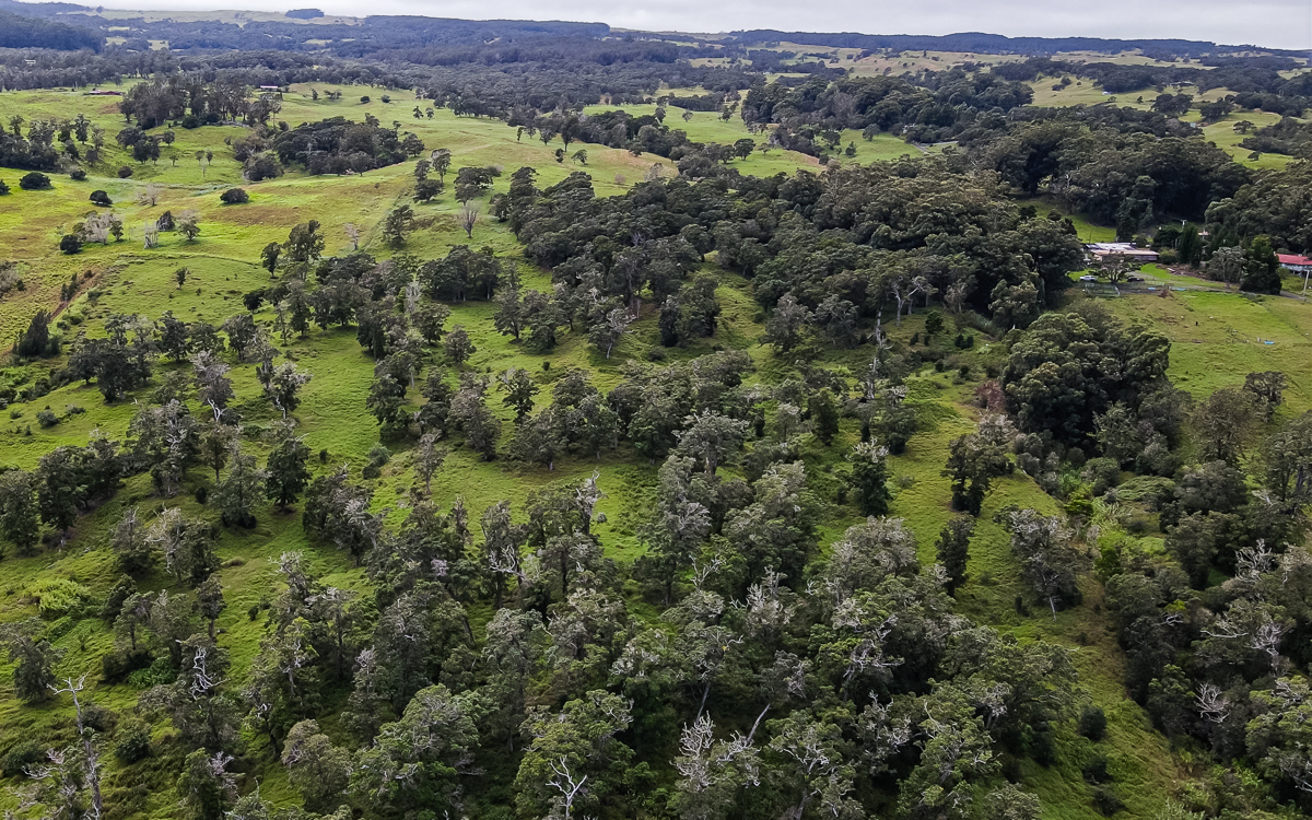43-1815 Manienie Rd, Paauilo, HI 96776