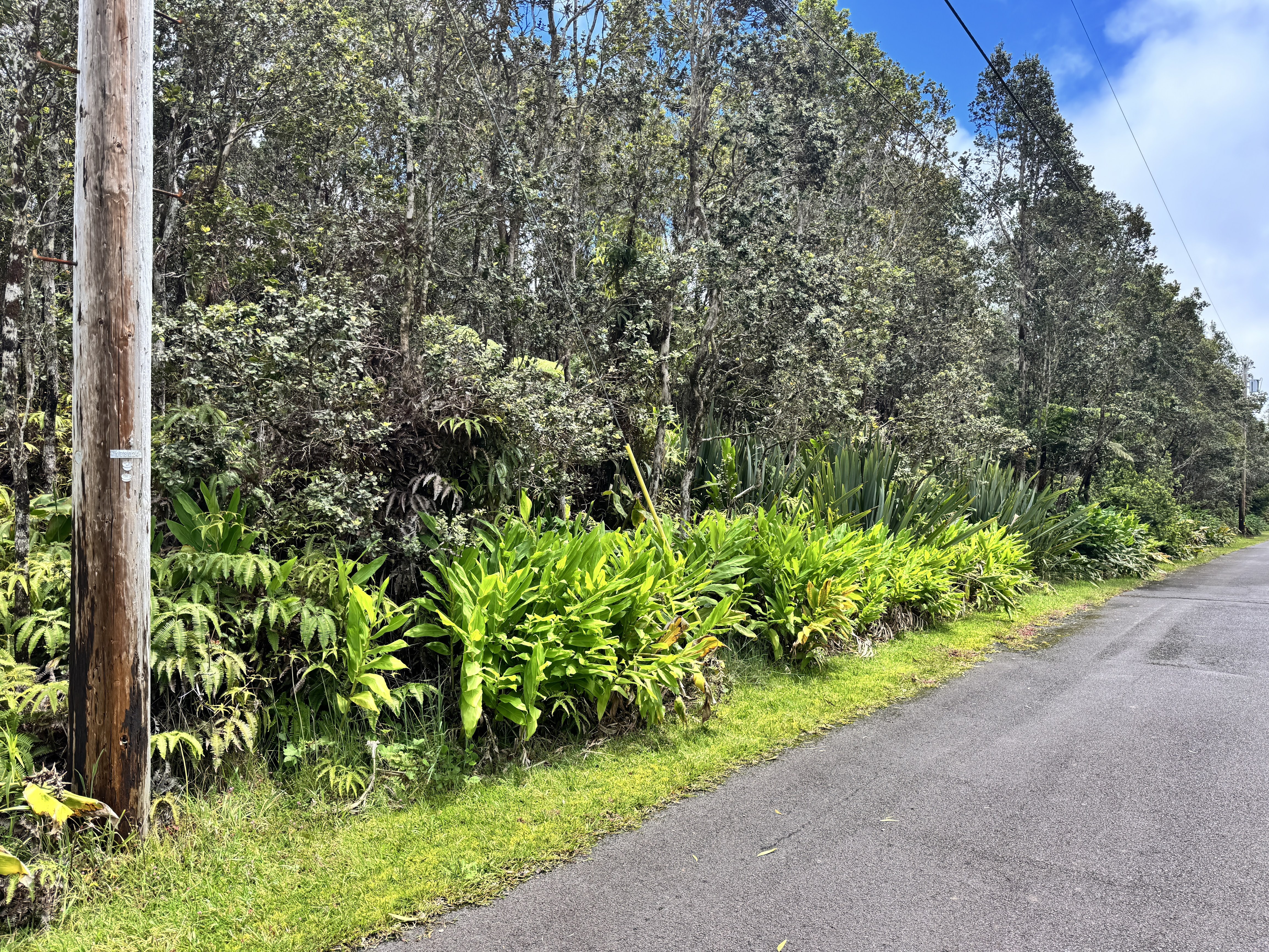 11-3778 1St St, Volcano, HI 96785