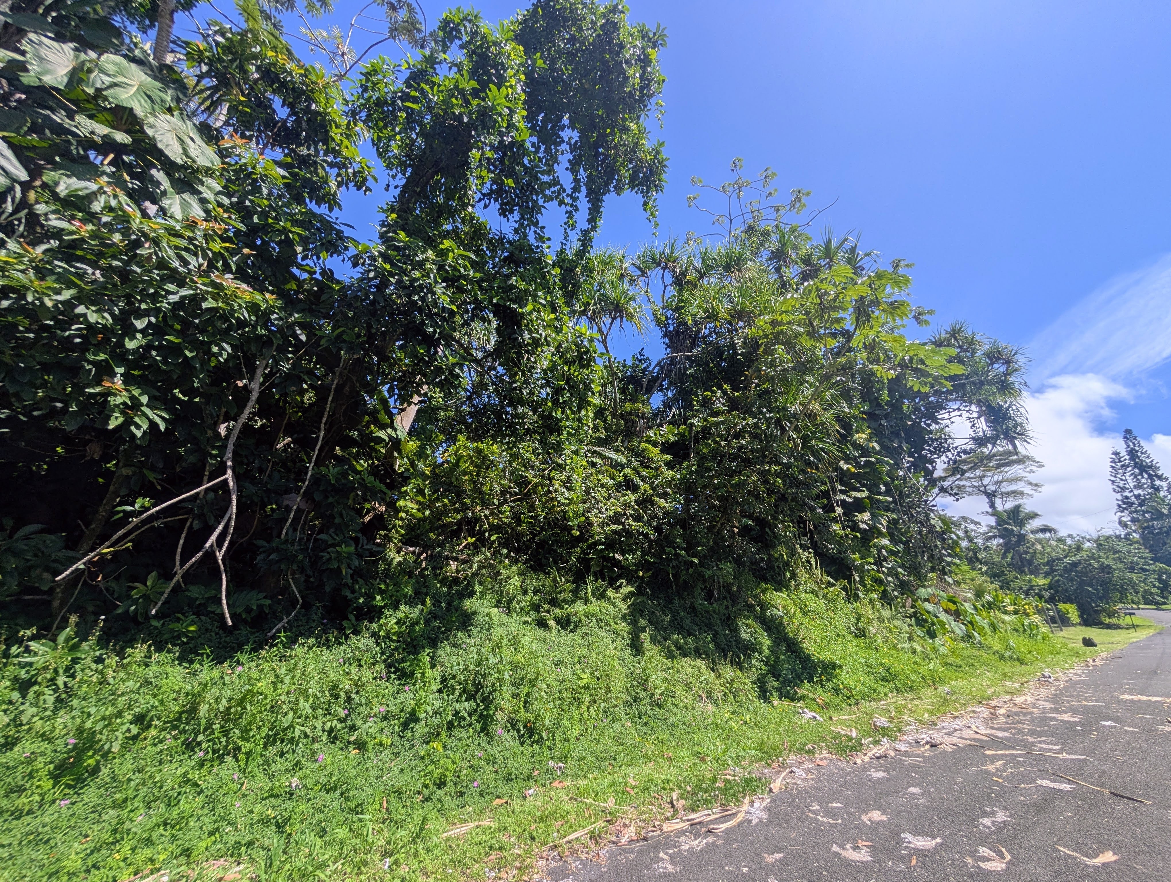15-179 Puni Lani Loop, Pahoa, HI 96778