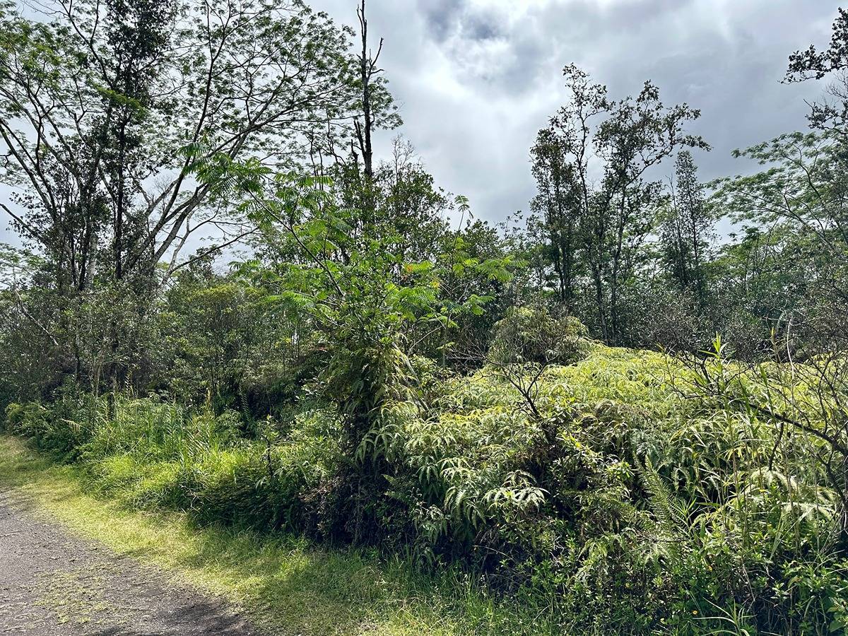 16-2185 Road 4 (Io Kea), Mountain View, HI 96771