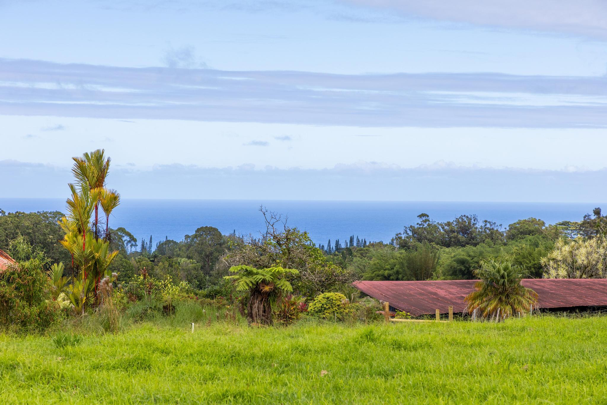 29-627-A Chin Chuck Rd, Hakalau, HI 96710