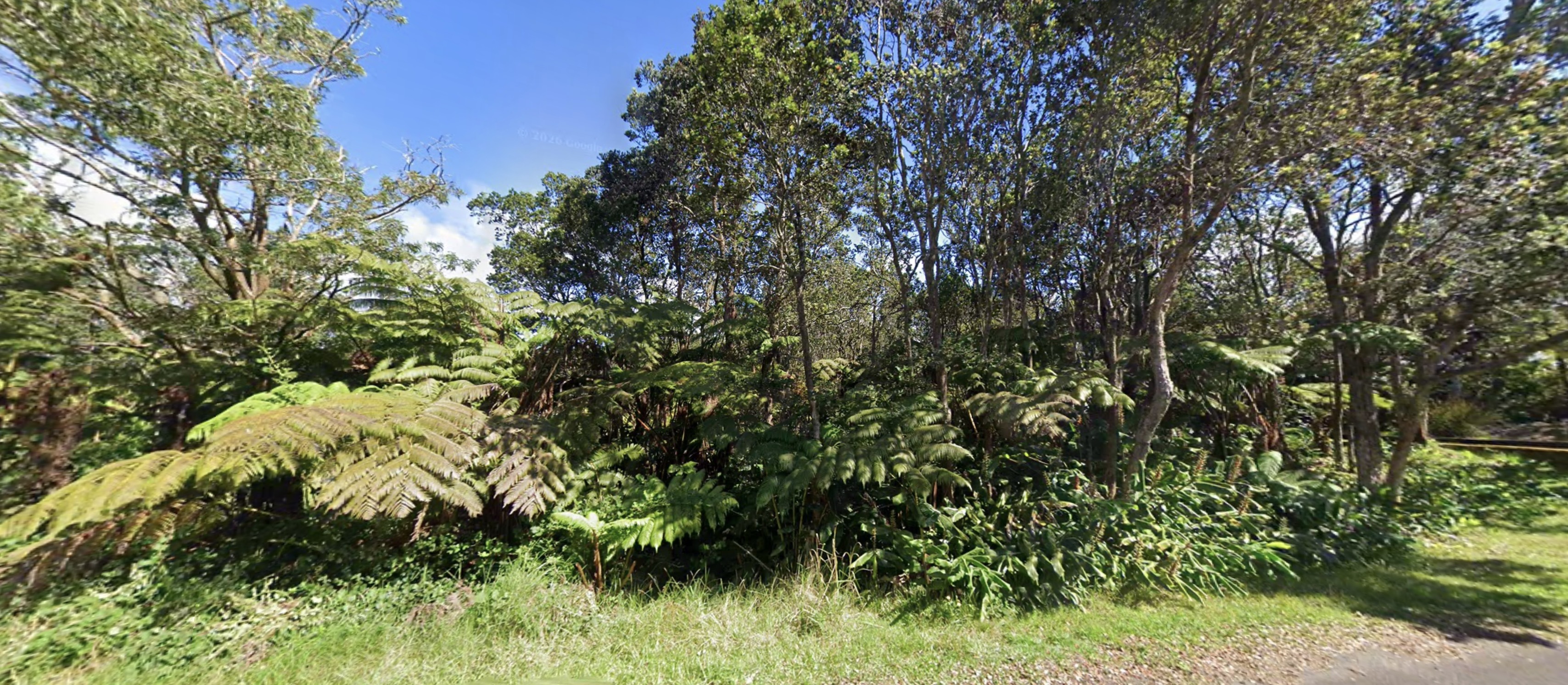 11-3872 Liona St, Volcano, HI 96785
