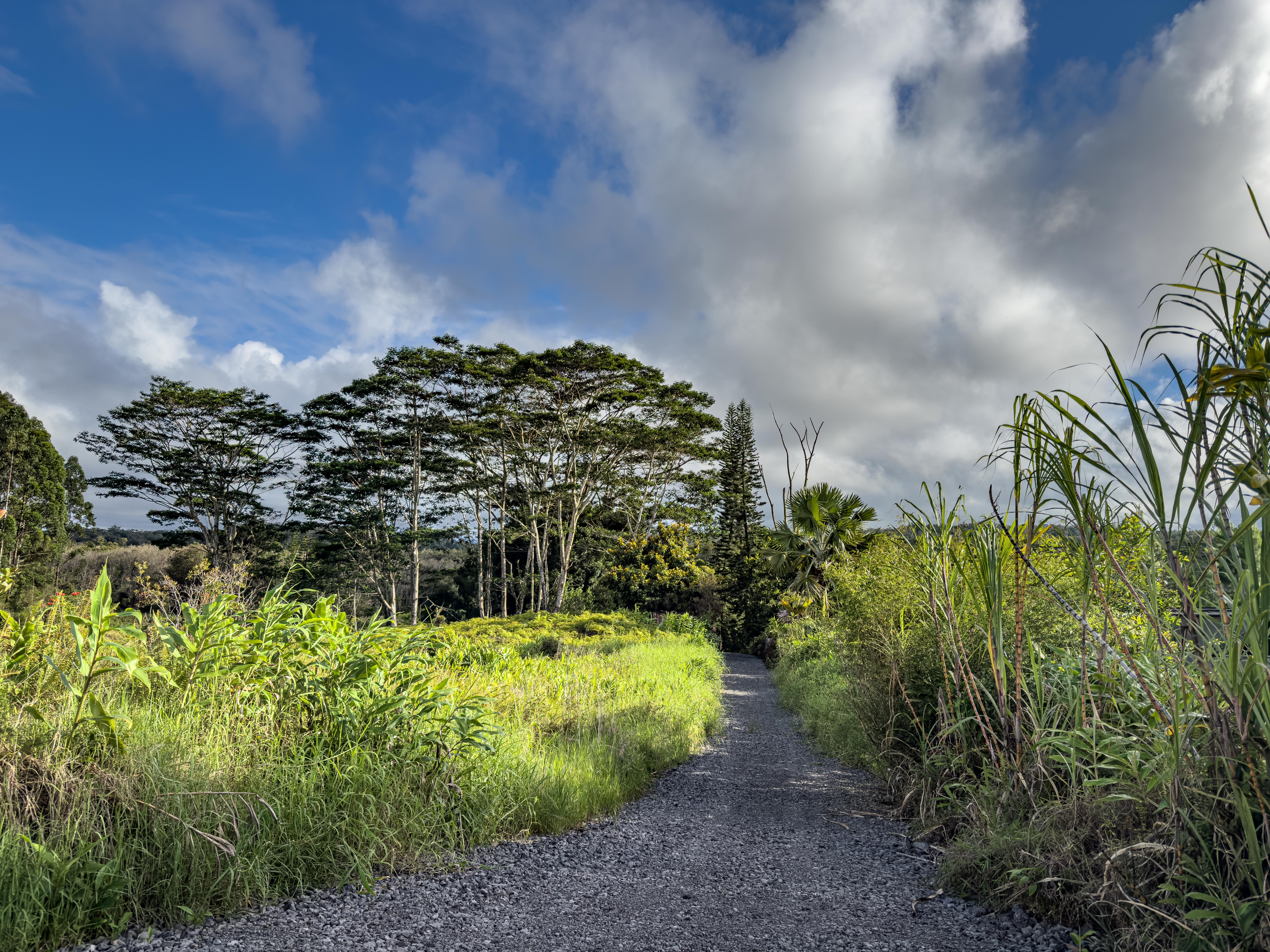 2883 Kaiwiki Rd, Hilo, HI 96720