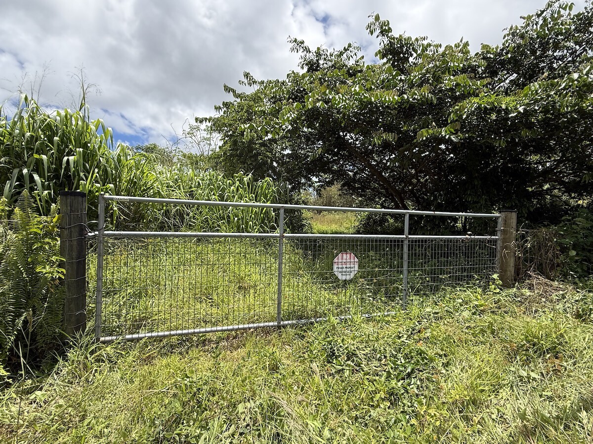11-2972 Palainui Ave, Mountain View, HI 96771