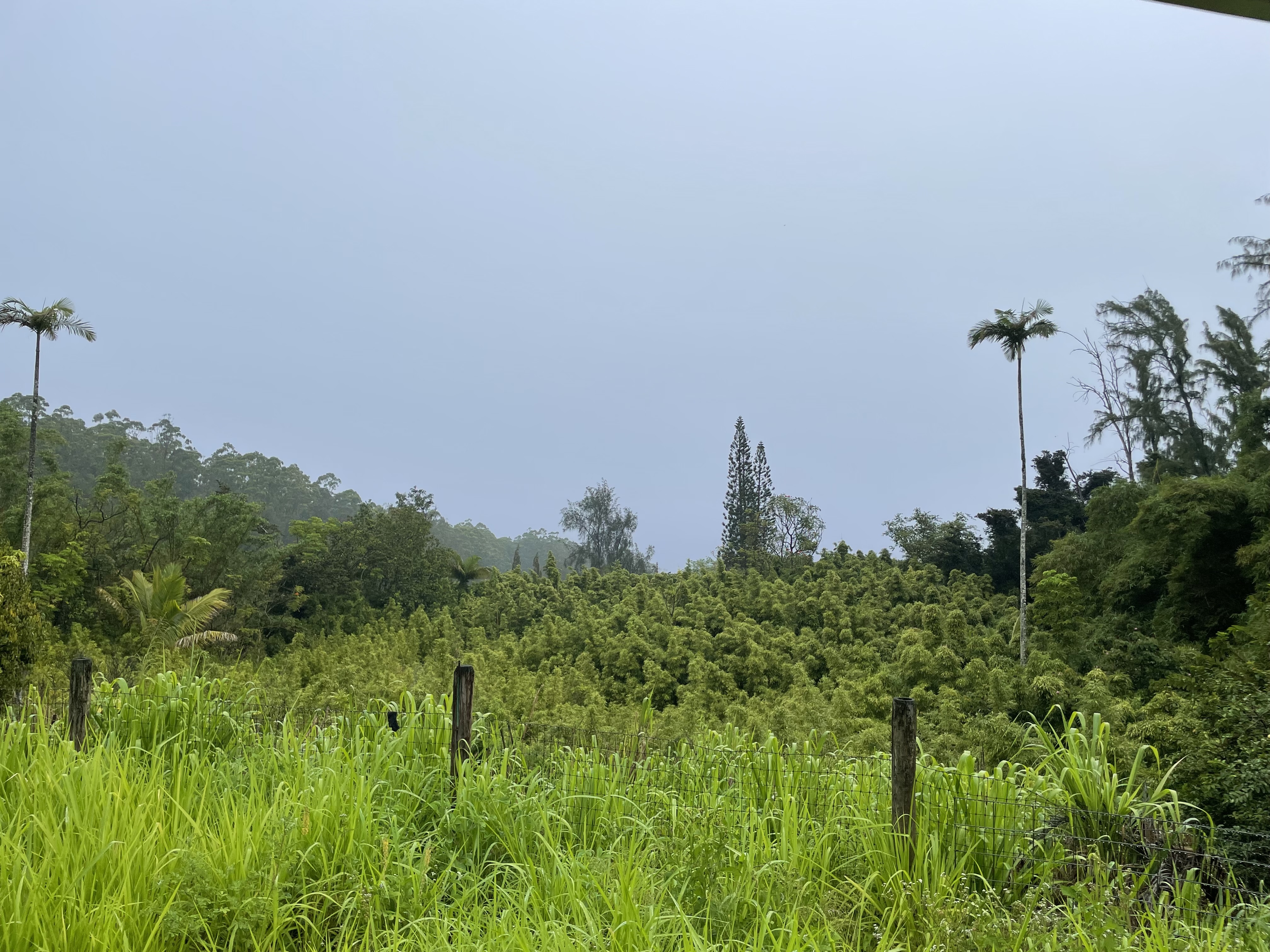 39-3342 Hana Ika Luna Camp Rd, Ookala, HI 96774