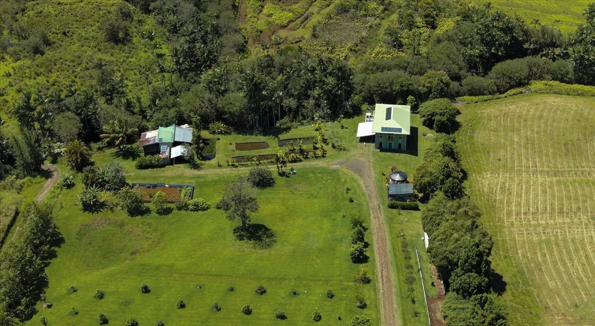 29-2612 Kaiwiki Homestead Rd, Hakalau, HI 96710