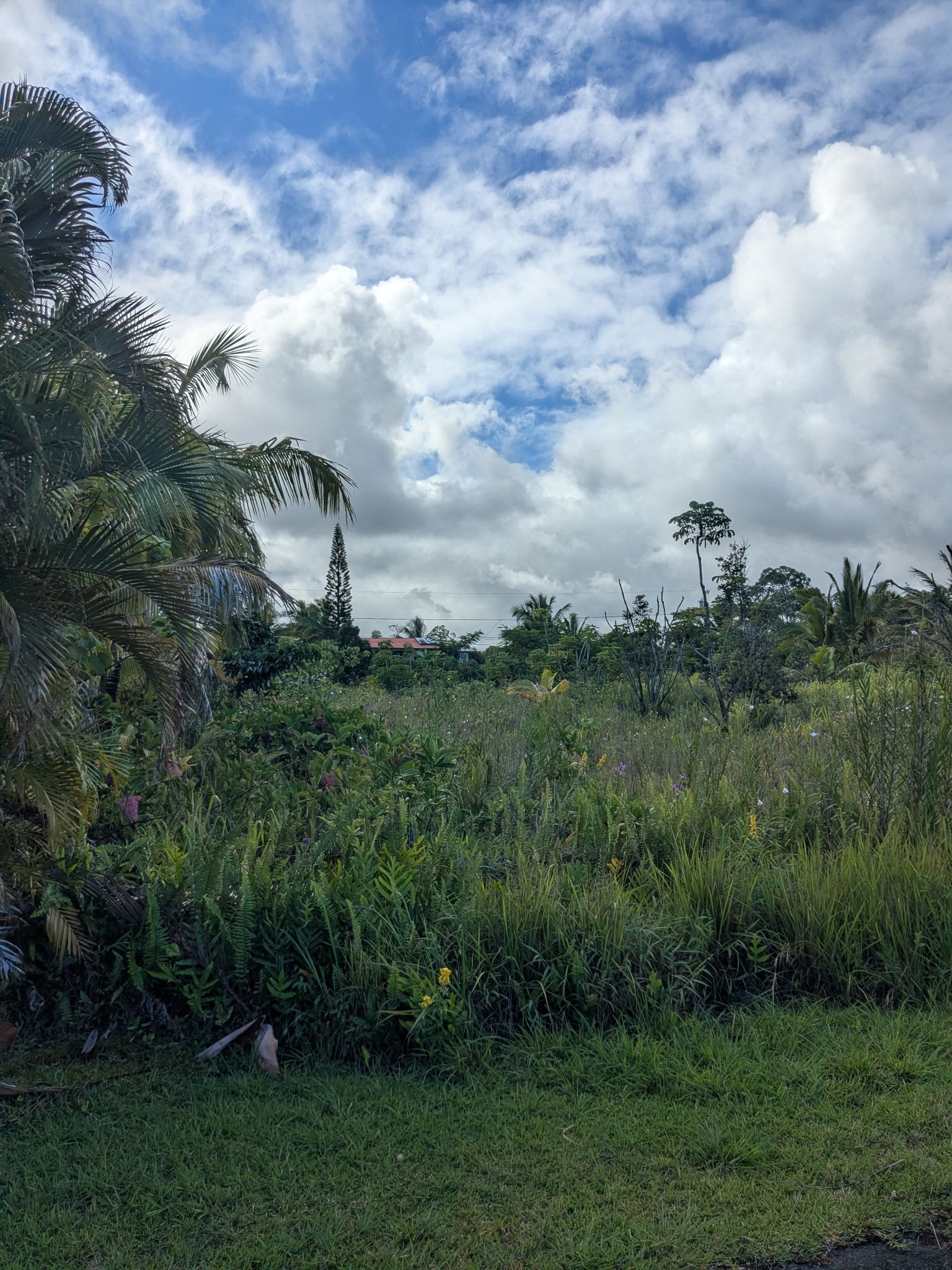 12-7056 Eelekoa St, Pahoa, HI 96778