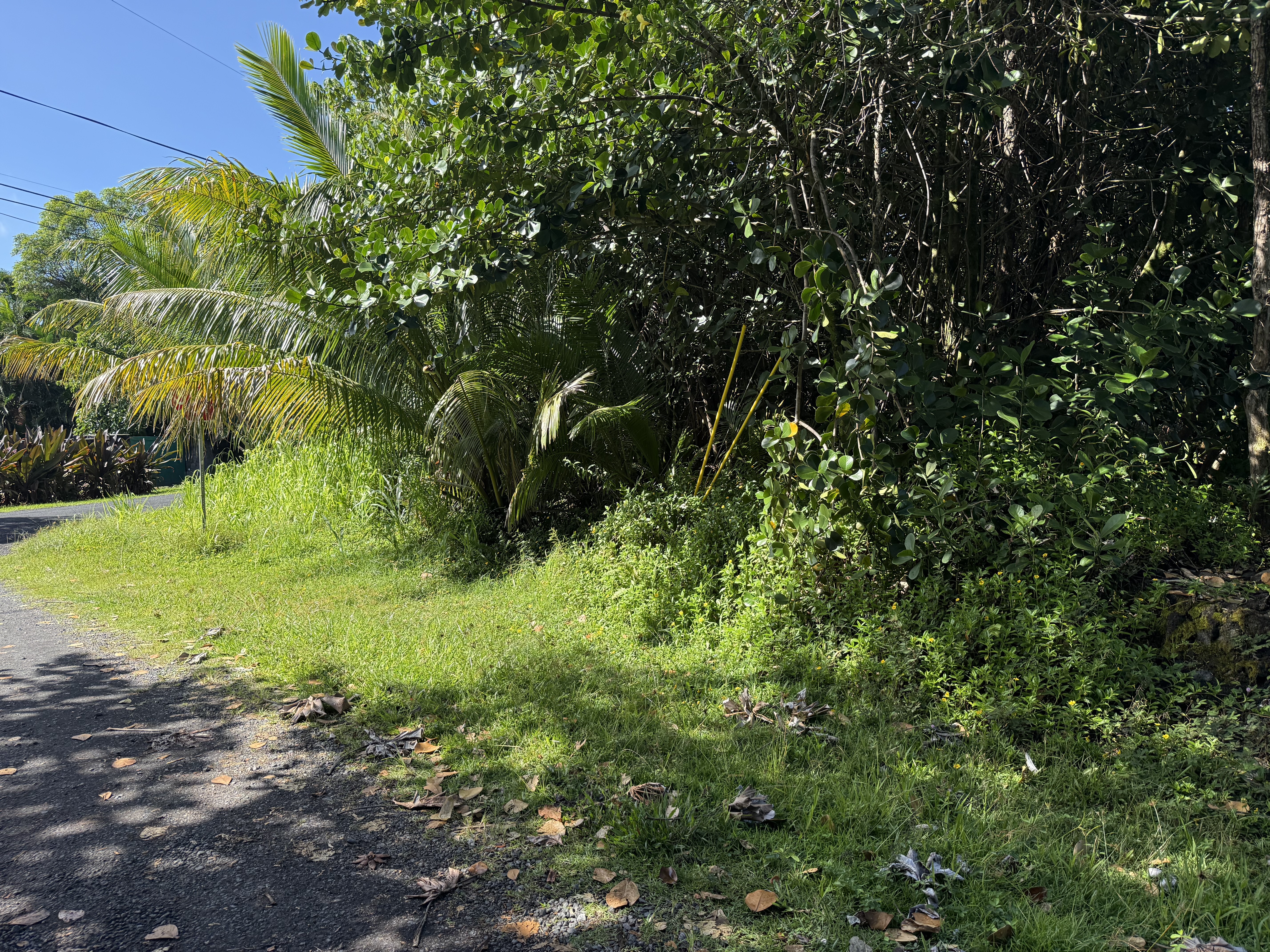 15-1144 Amau Rd, Keaau, HI 96749