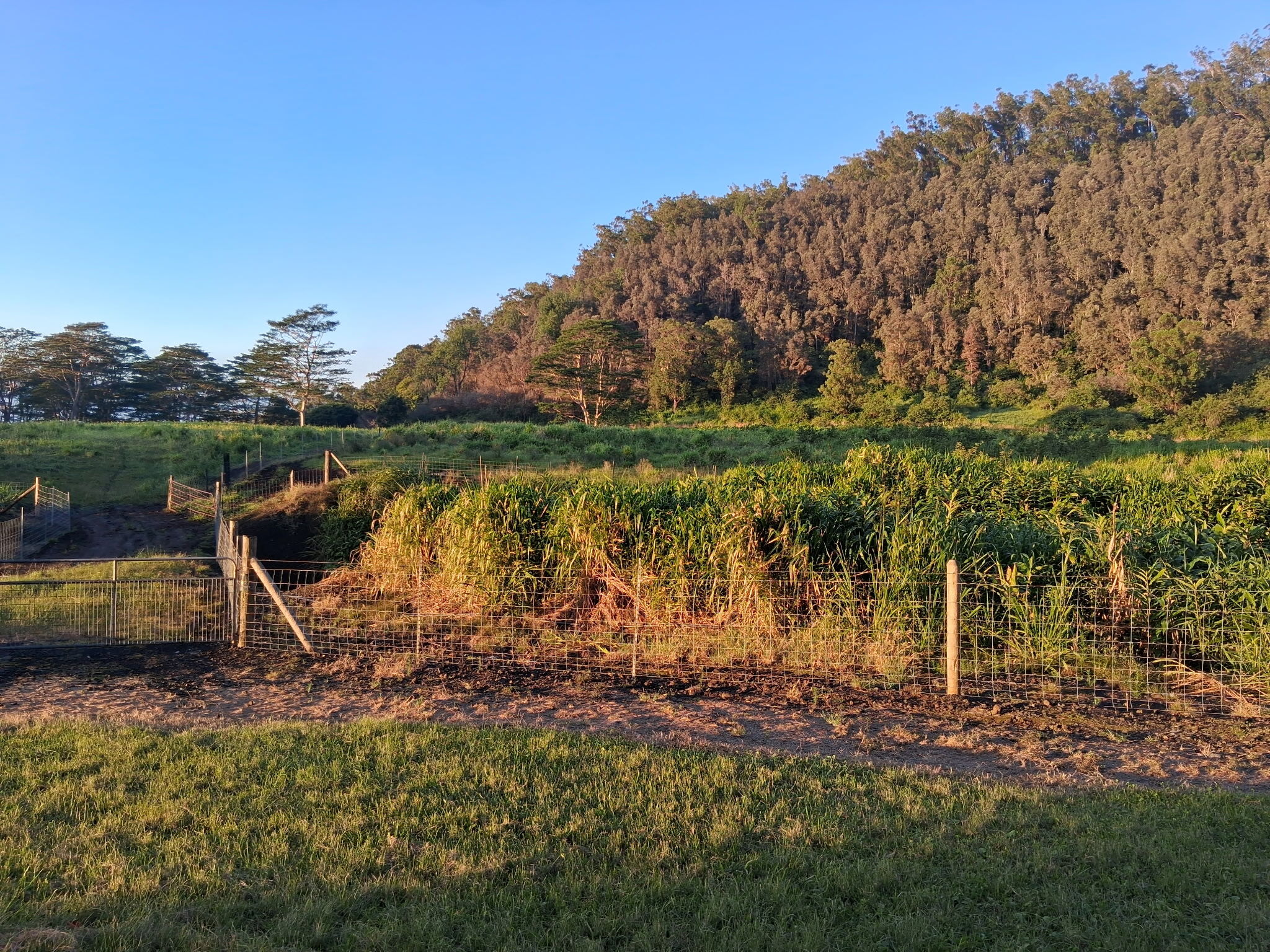 96-2422 Wood Valley Rd, Pahala, HI 96777