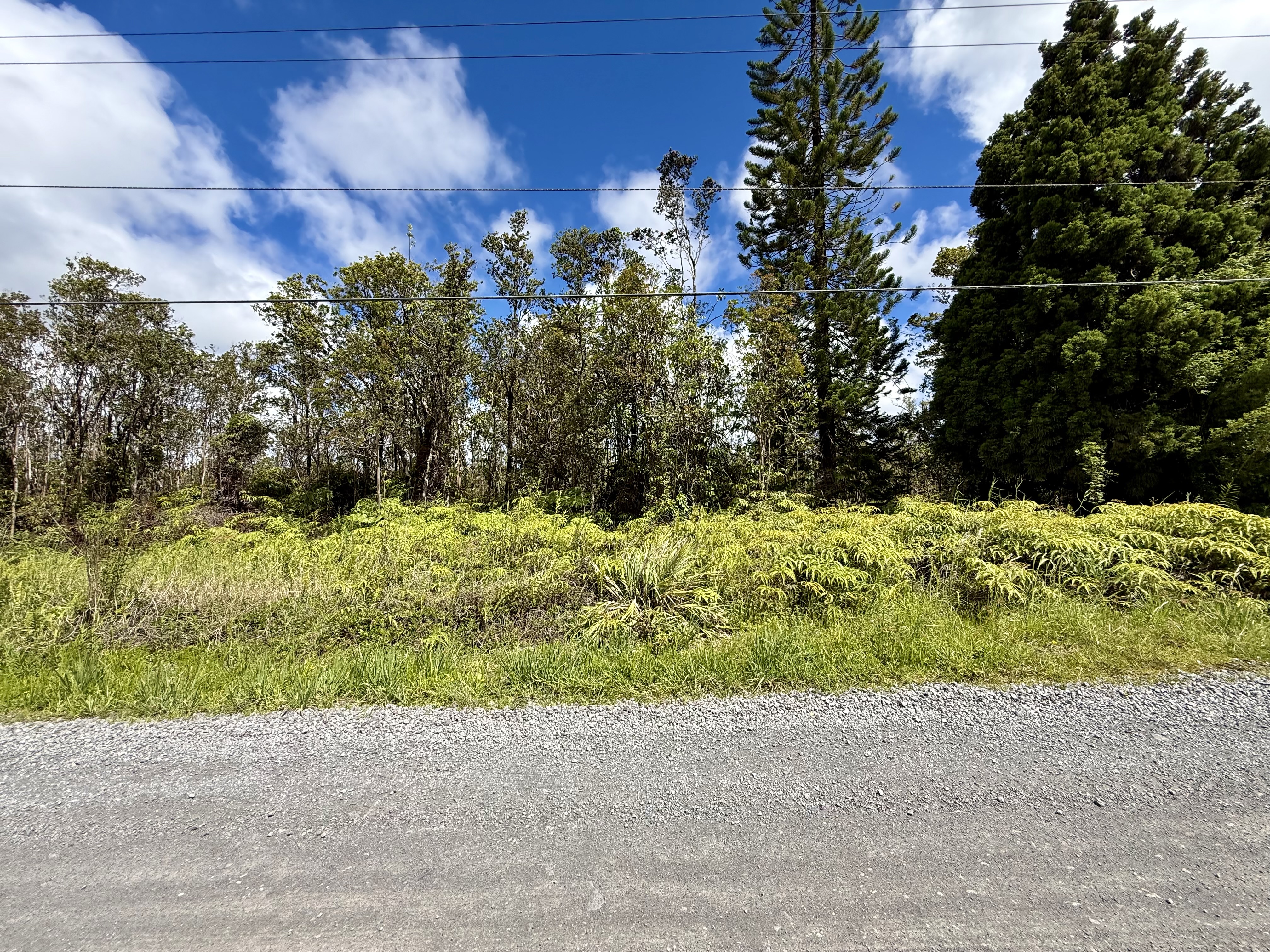 11-2099 Kaleponi Dr, Volcano, HI 96785