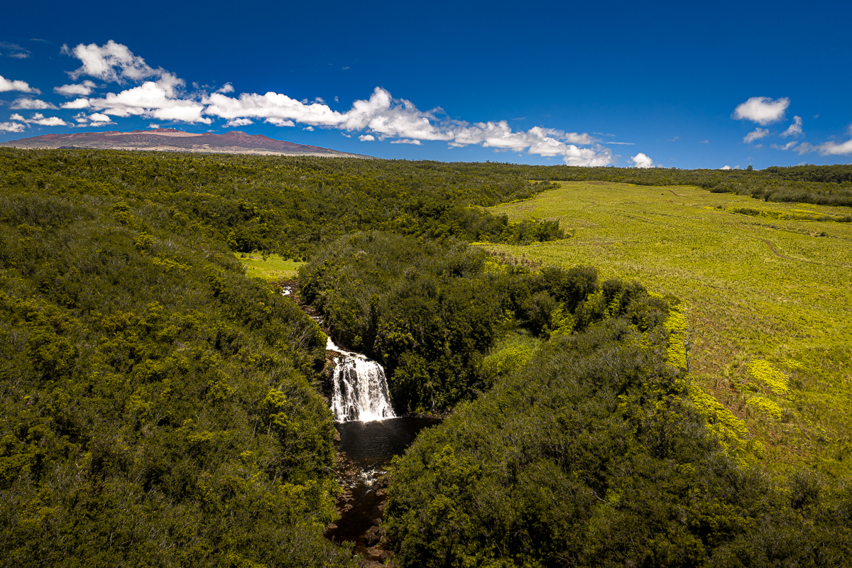 27-640 La Rd, Papaikou, HI 96781