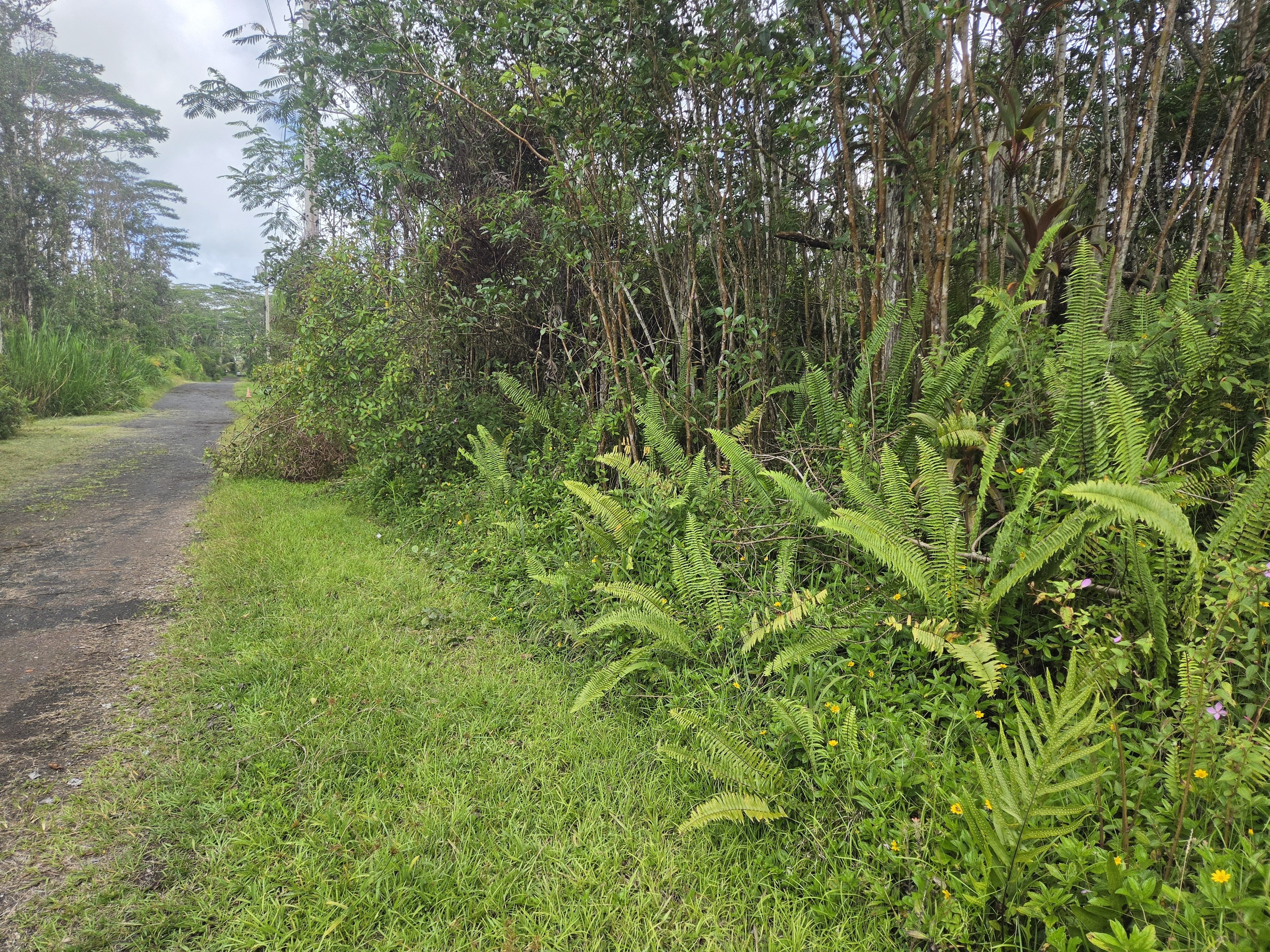 14-3362 Paradise Rd, Pahoa, HI 96778
