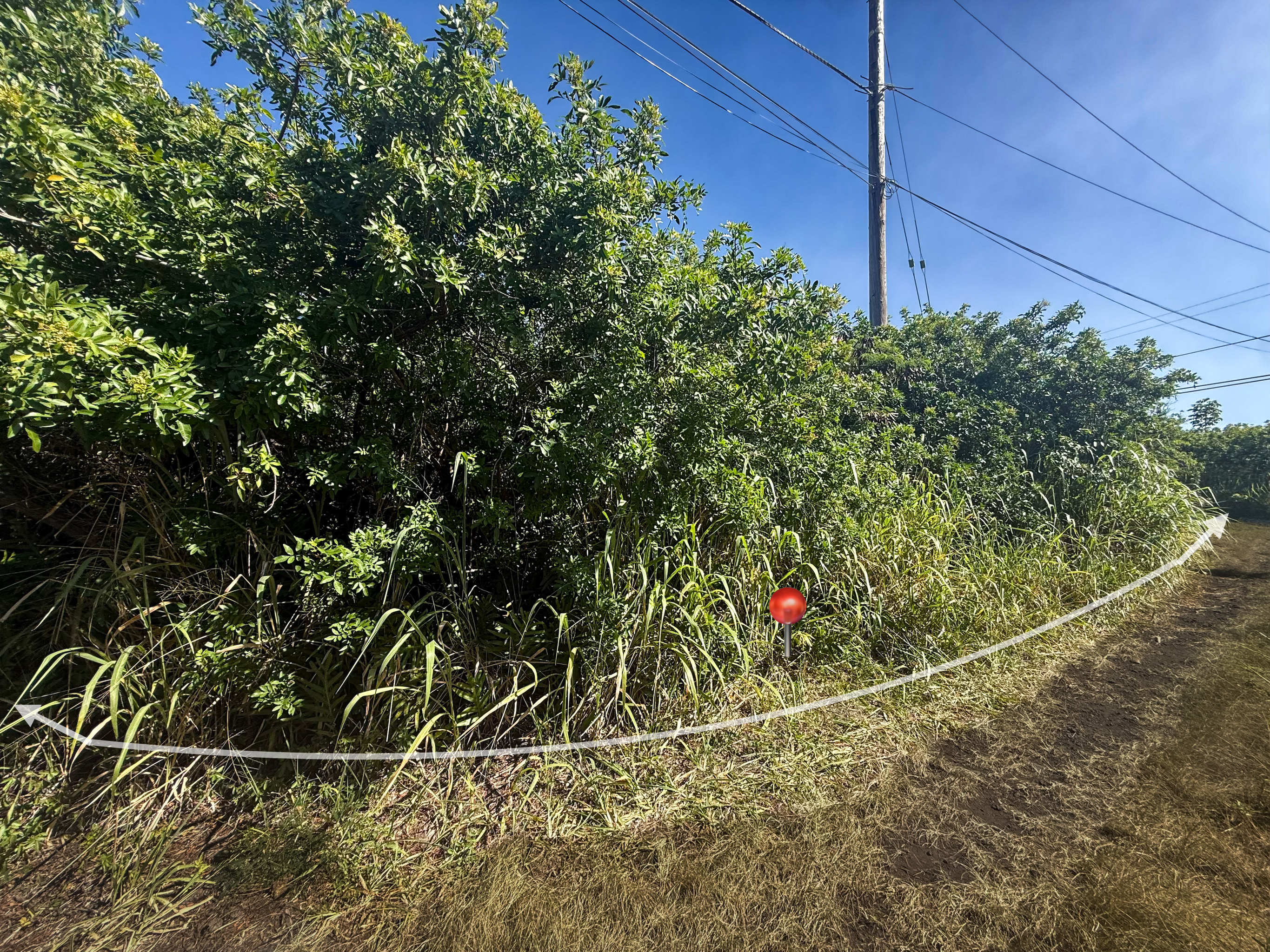 94-6500 Kai Kane St, Naalehu, HI 96772