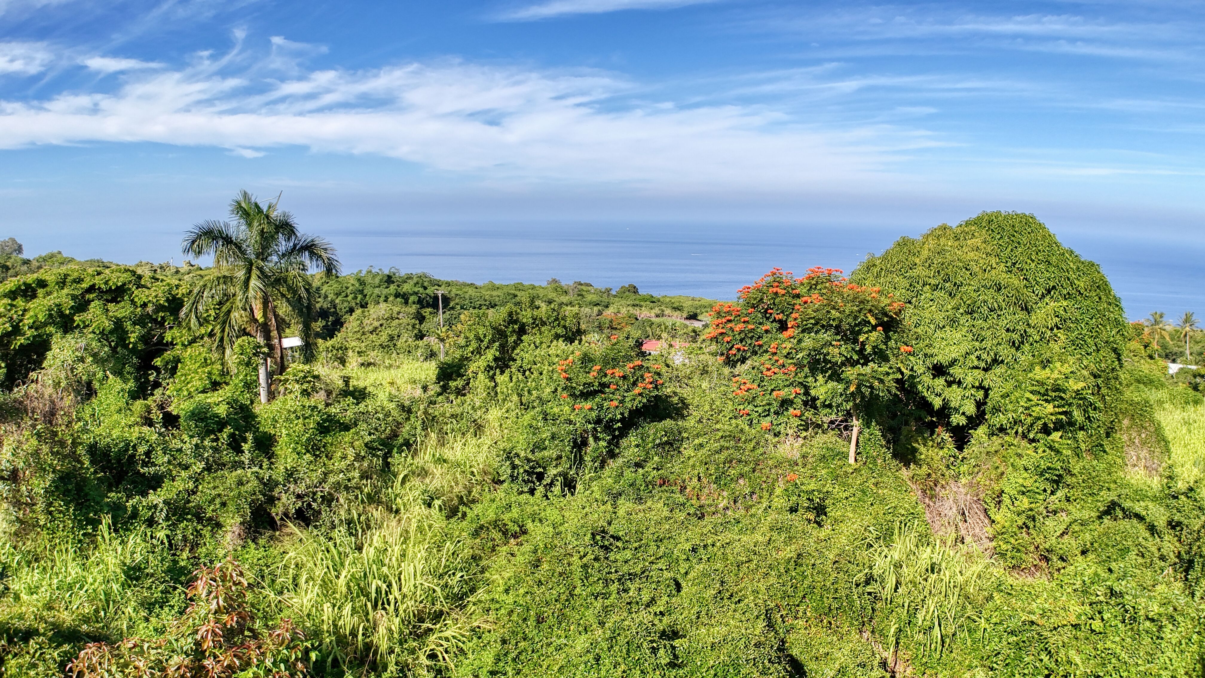 81-5534 Alaula Road, Kealakekua, HI 96750