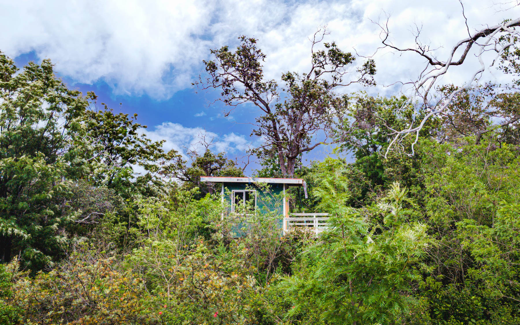 92-8527 Tiki Ln, Ocean View, HI 96737