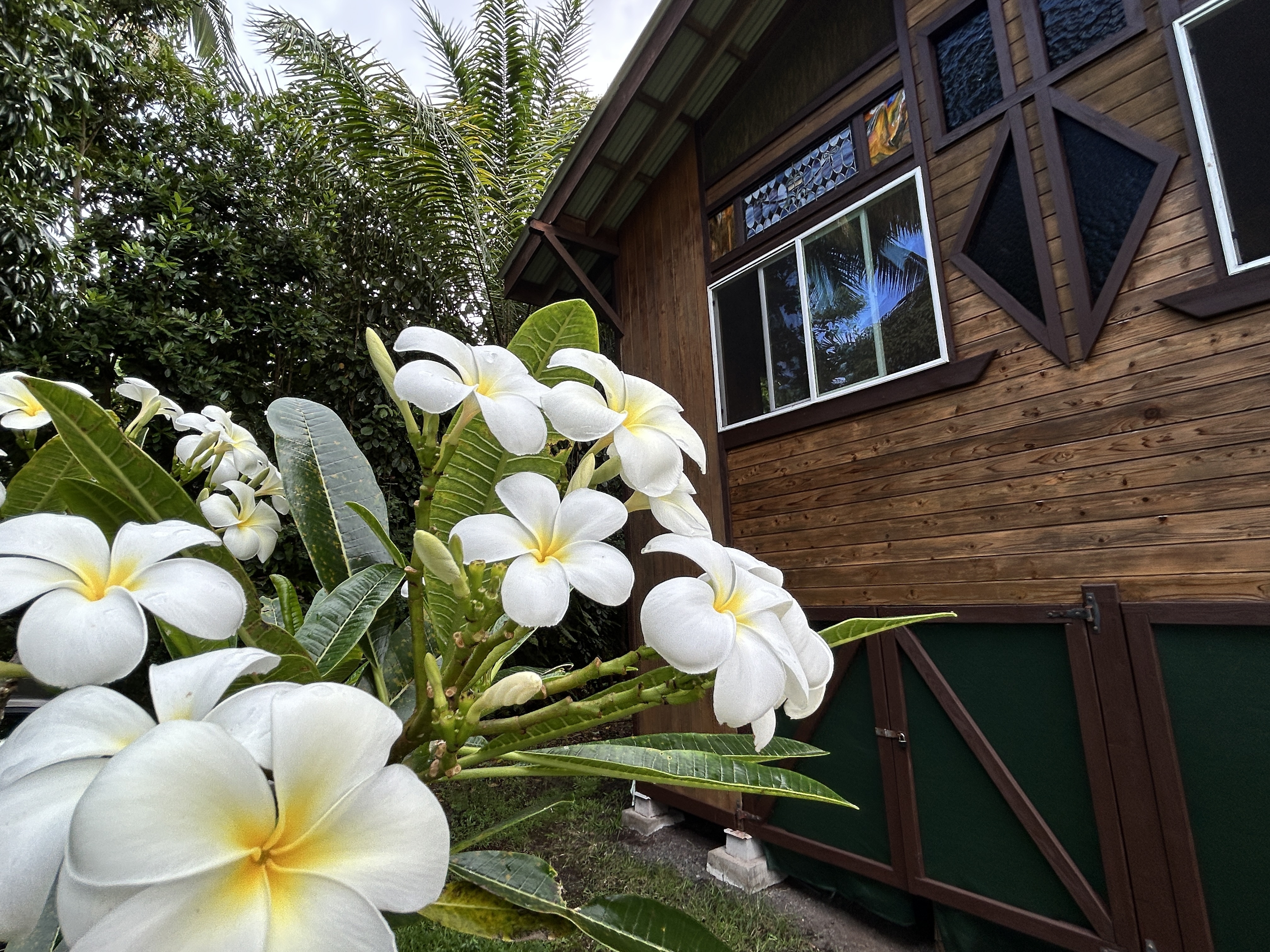 13-136 Puakenikeni Pl, Pahoa, HI 96778