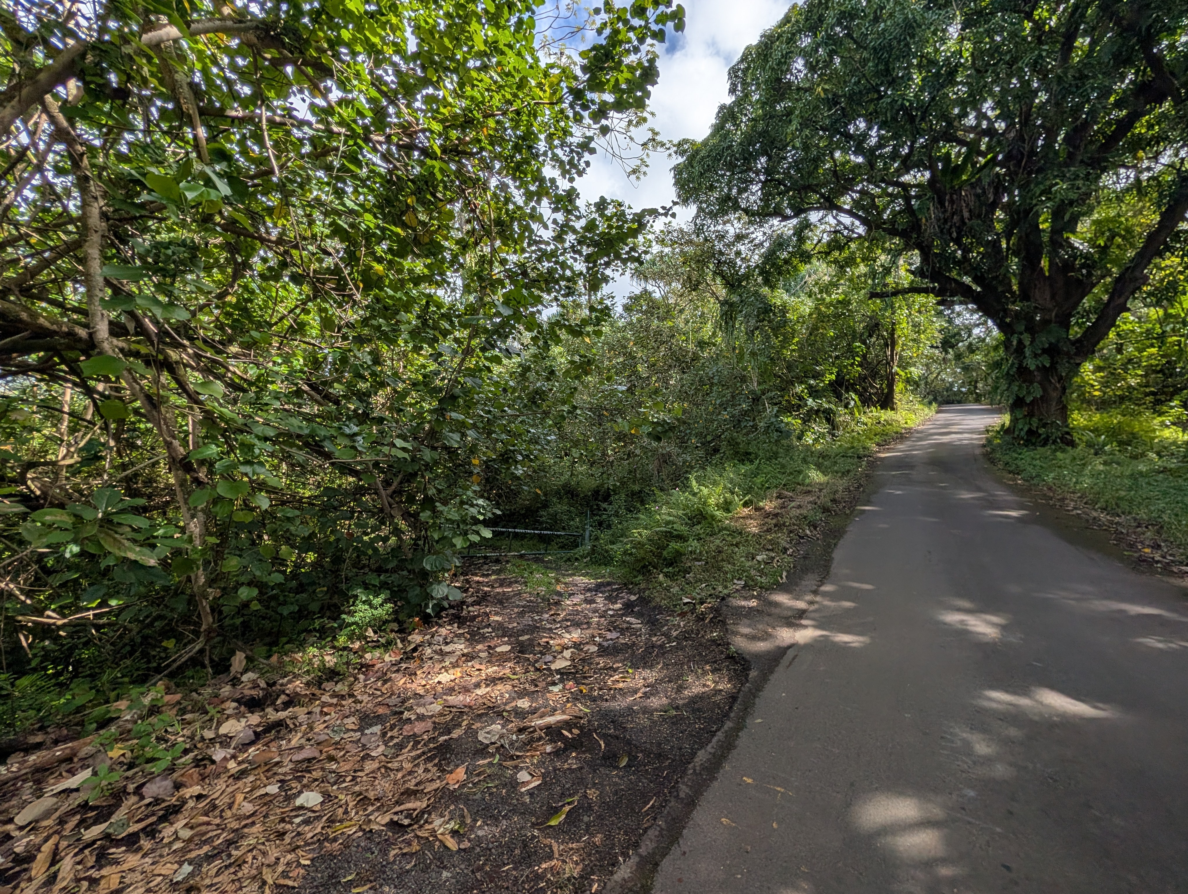 14-3963 Government Beach Rd, Pahoa, HI 96778