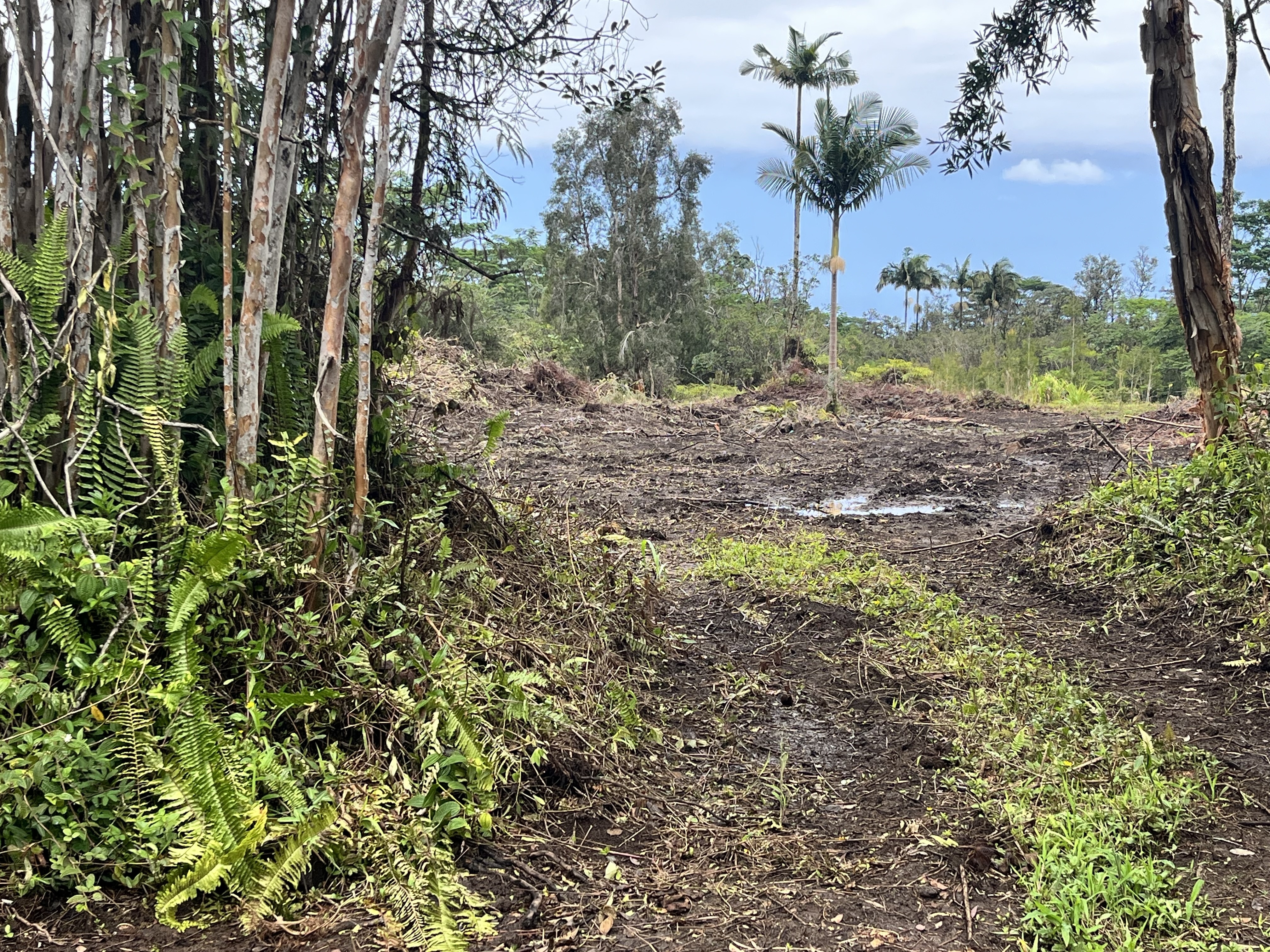 16-1235 39Th Ave, Kurtistown, HI 96760