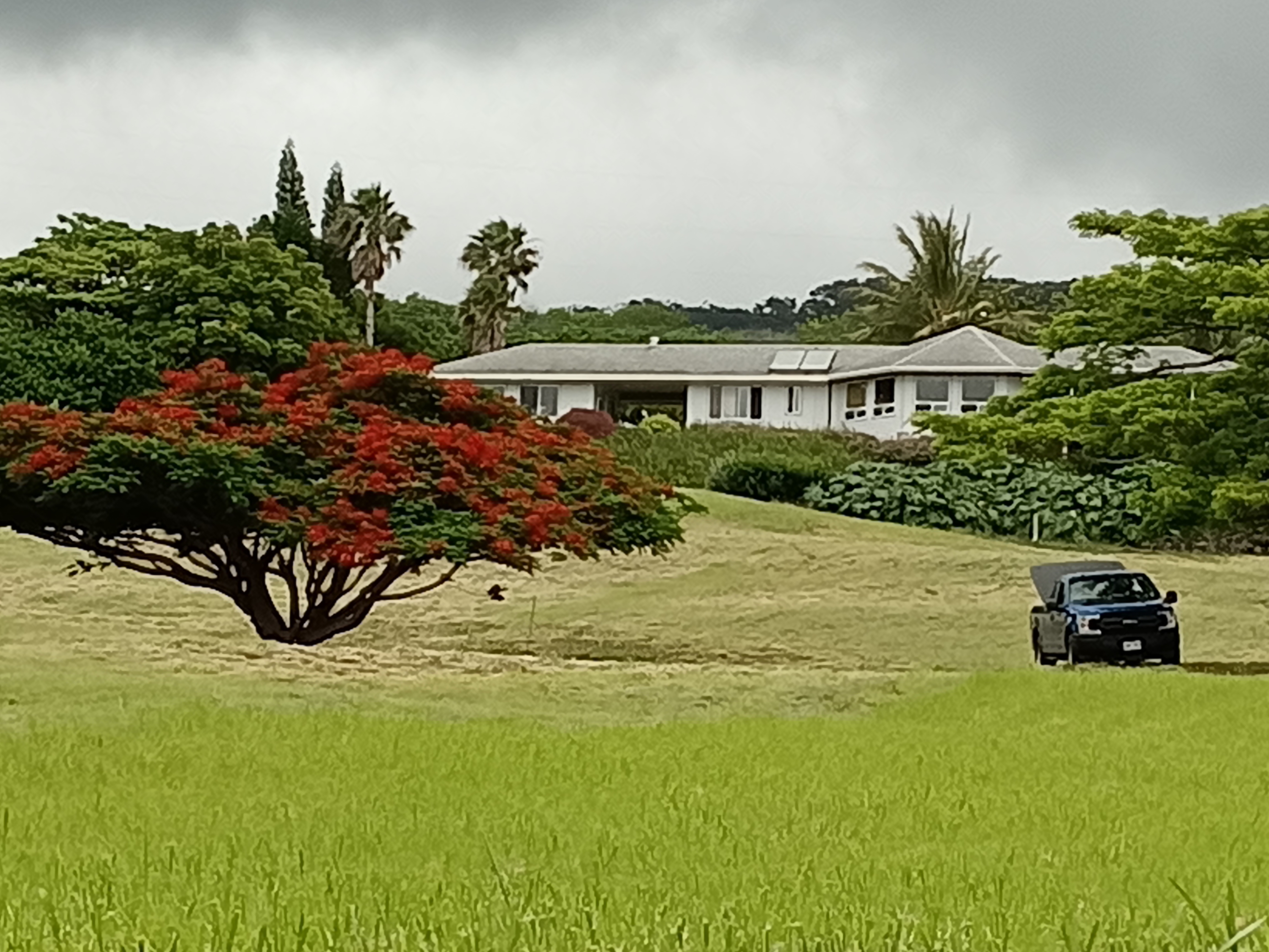 94-6311 Kamaoa Rd, Naalehu, HI 96772