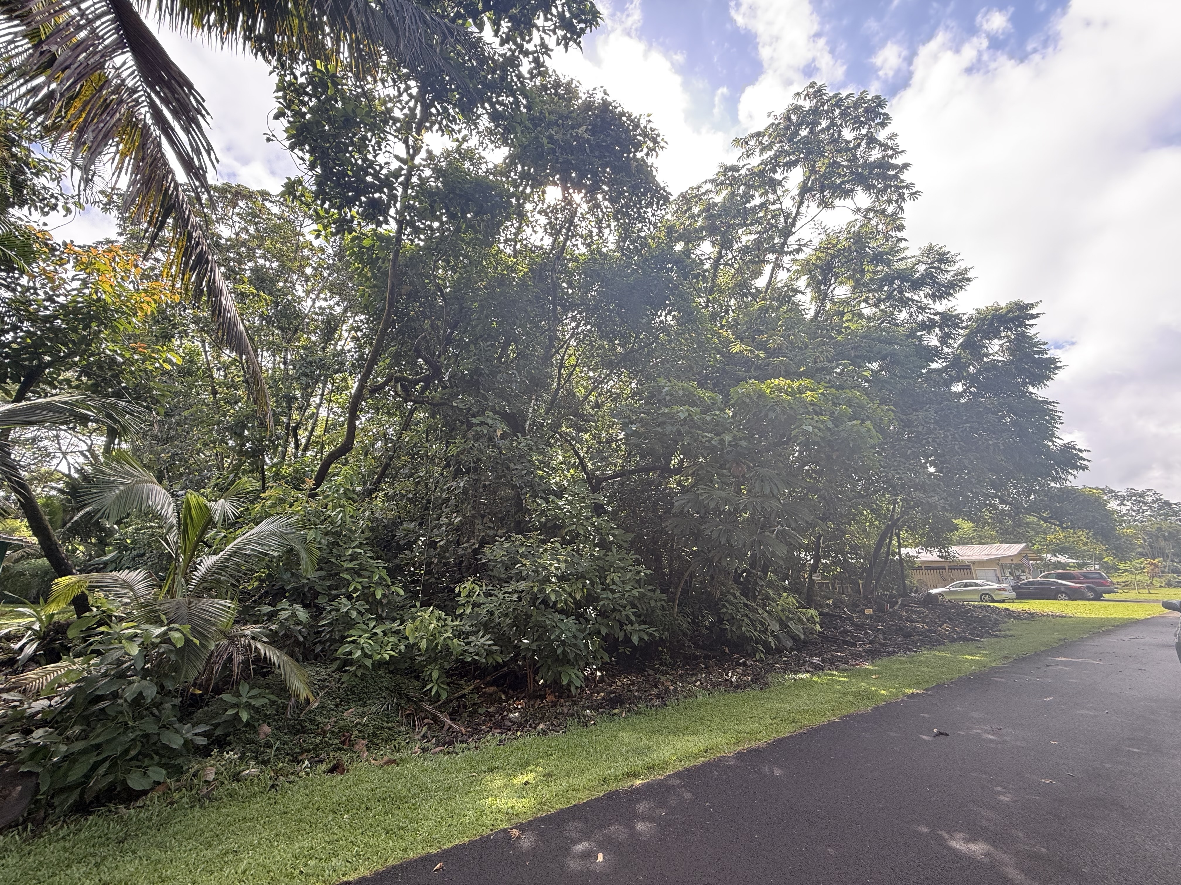 15-2799 Ono St, Pahoa, HI 96778