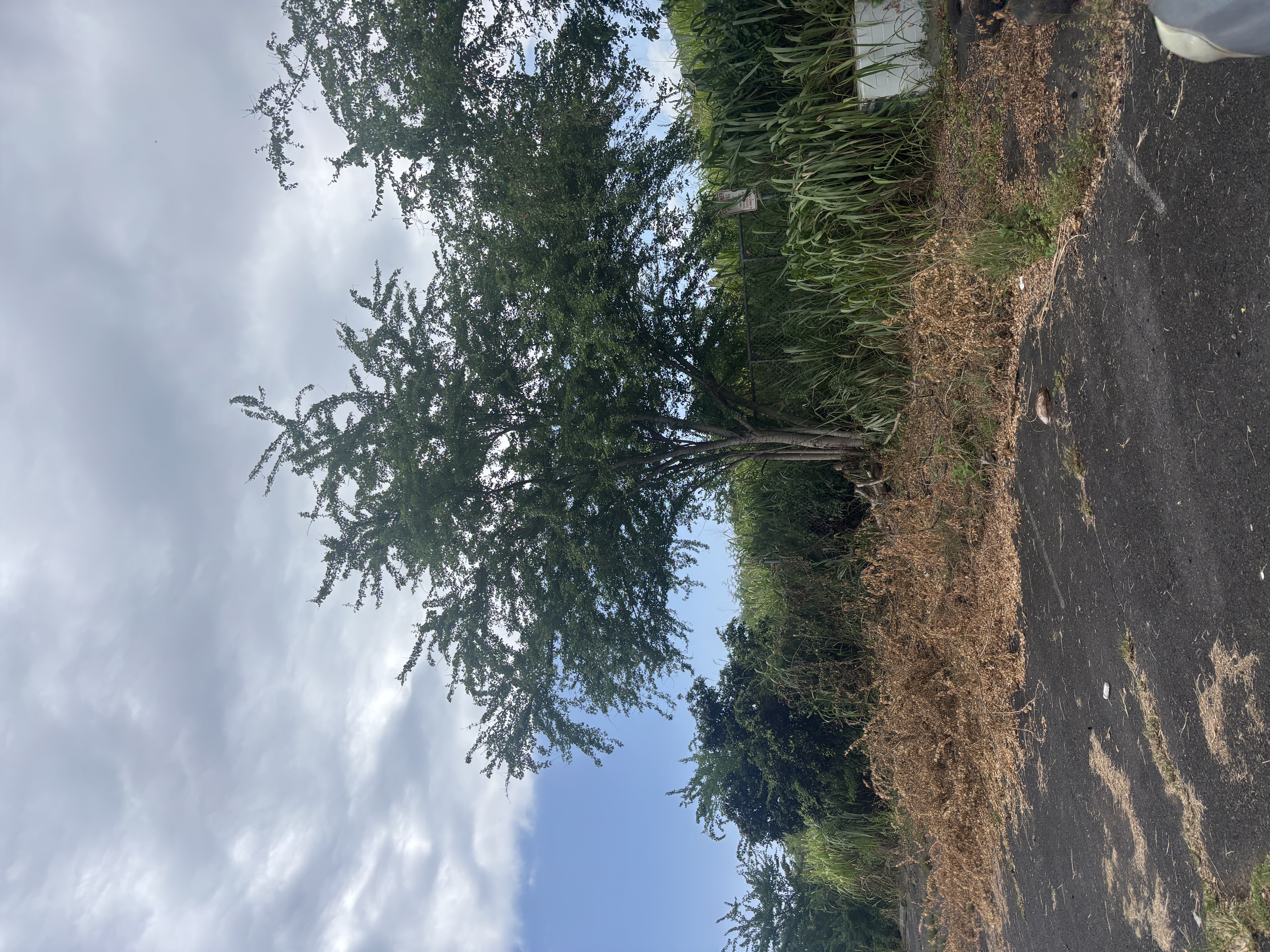 82-5788 Lower Napoopoo Rd, Captain Cook, HI 96704