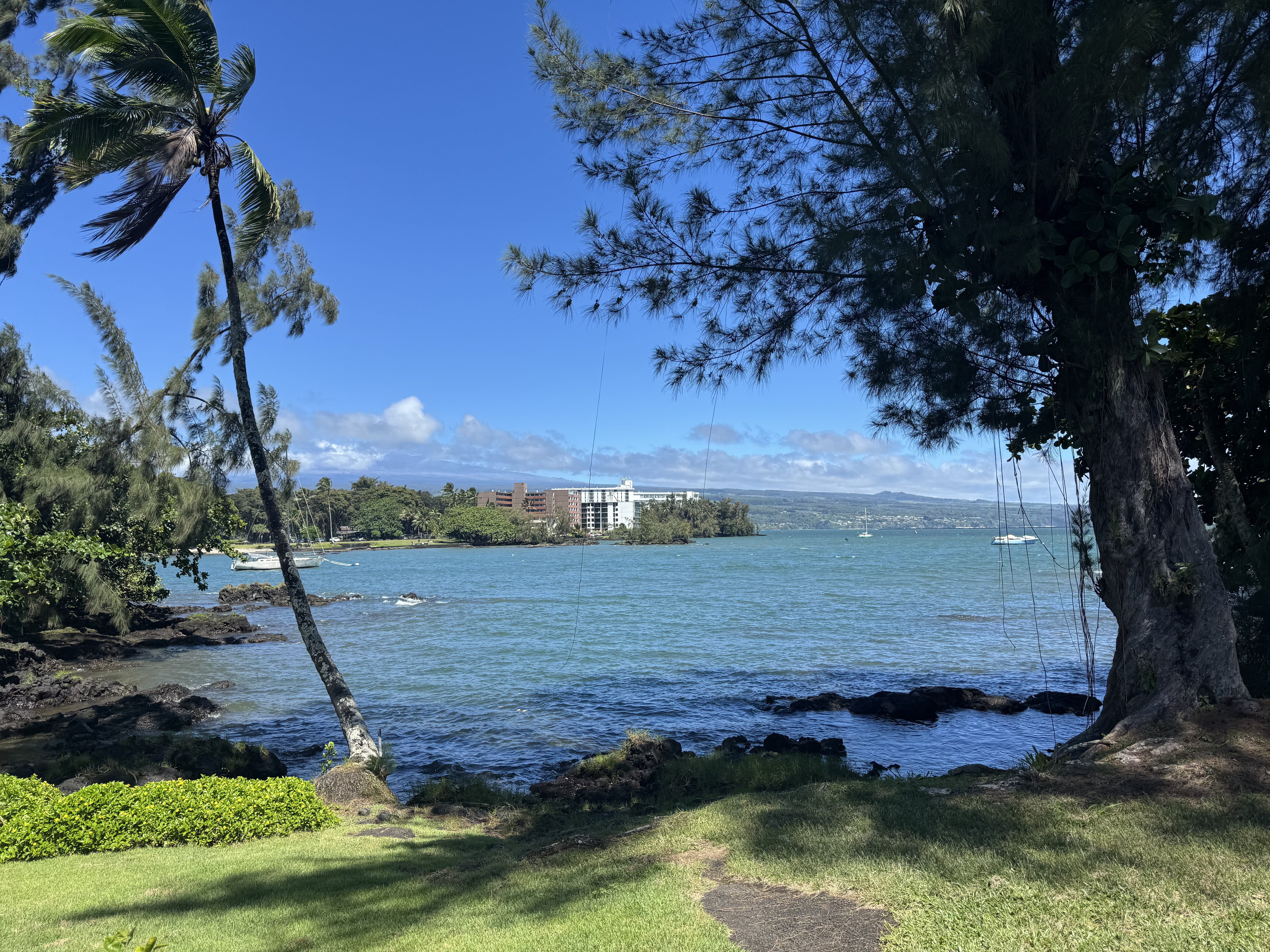 355 Orchid Manor, 320, Hilo, HI 96720