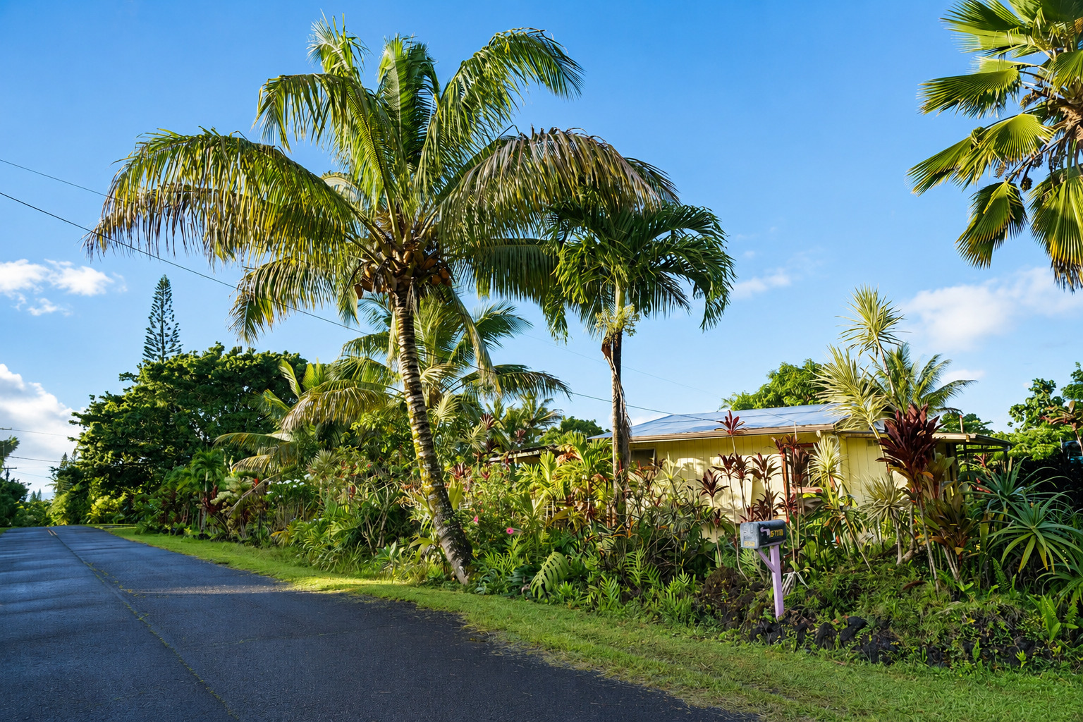 12-179 Kipuka St, Pahoa, HI 96778