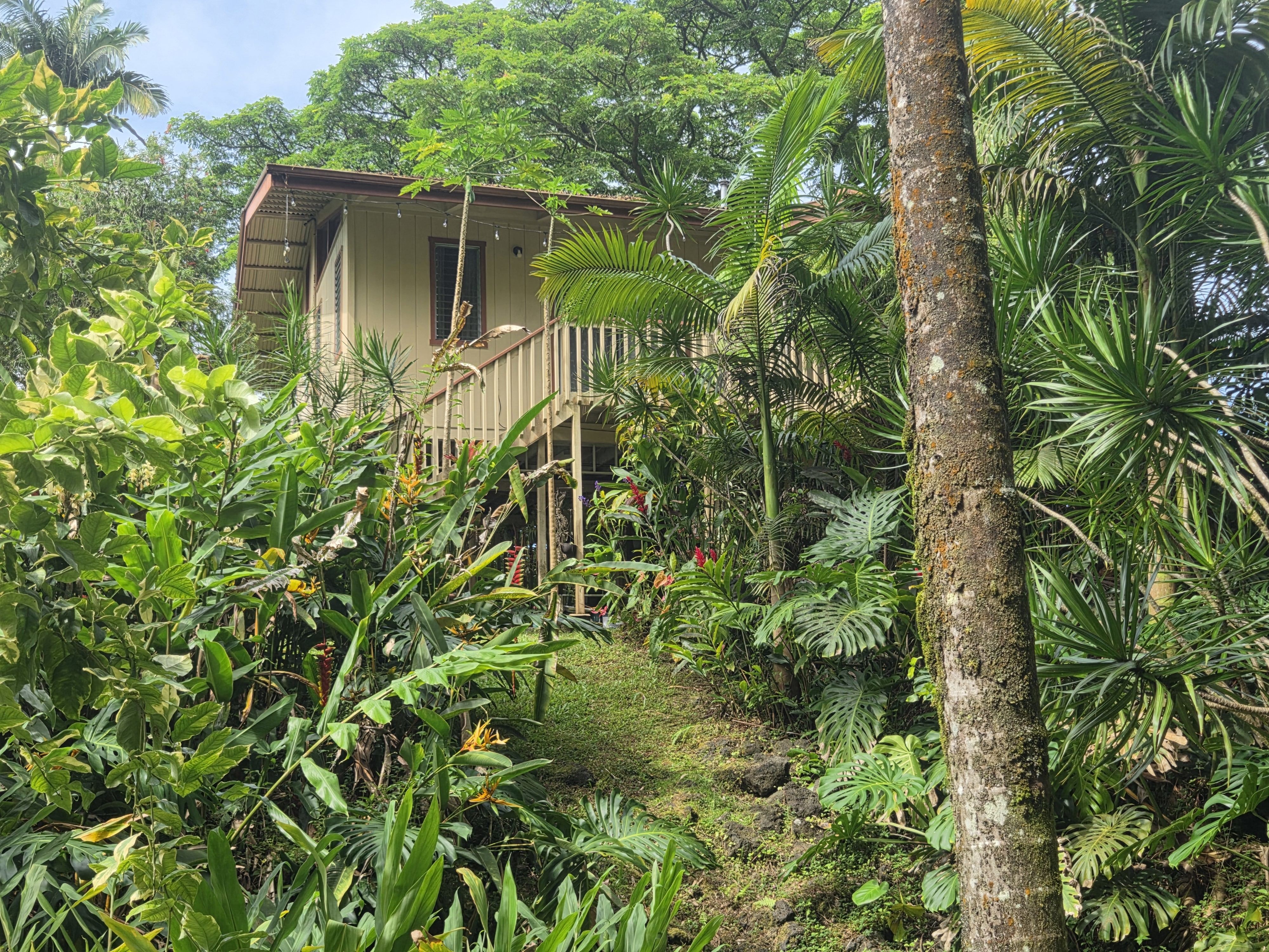 17-4013 Kuaaina Rd, Kurtistown, HI 96760
