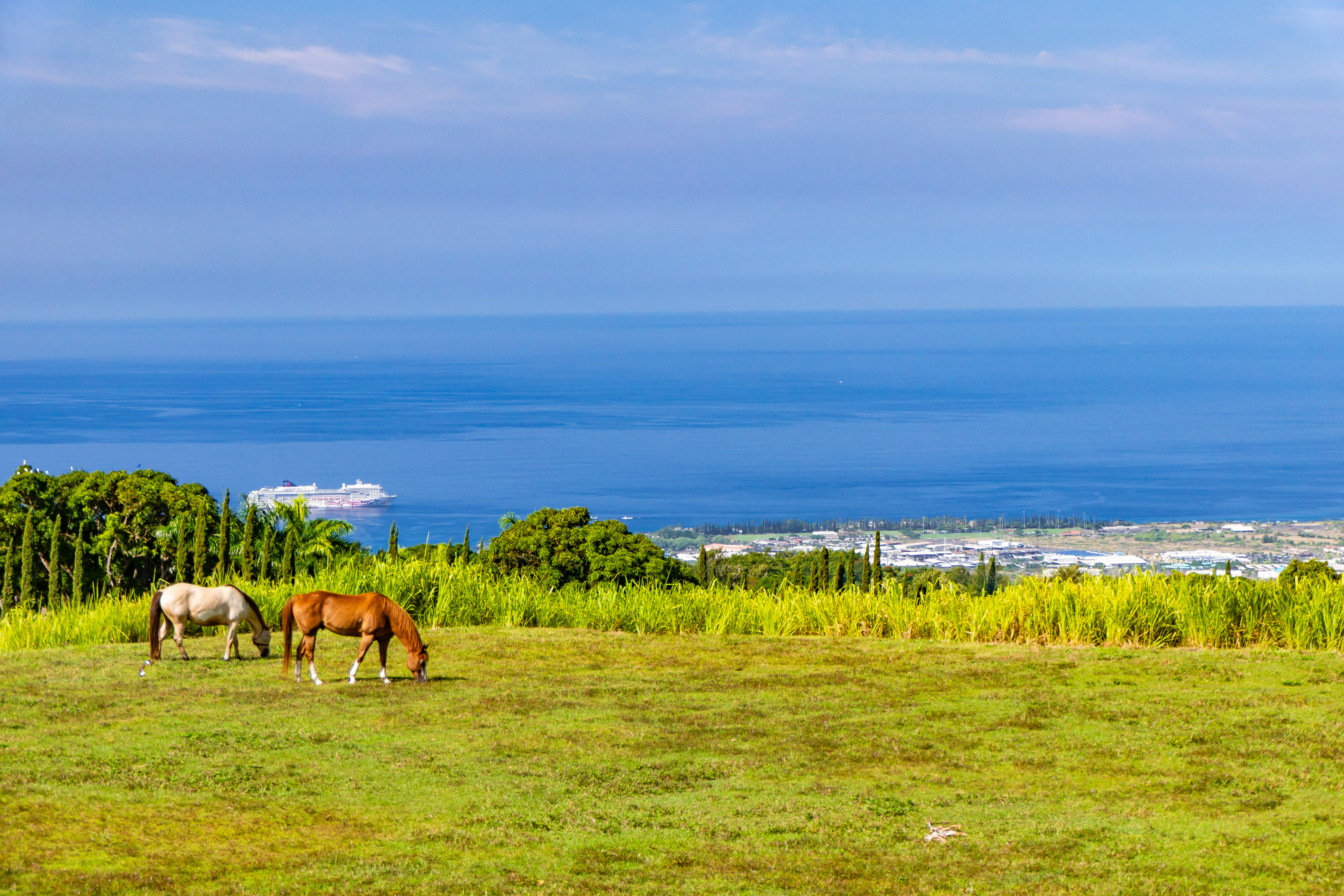 74-4990 Mamalahoa Highway, Holualoa, HI 96725