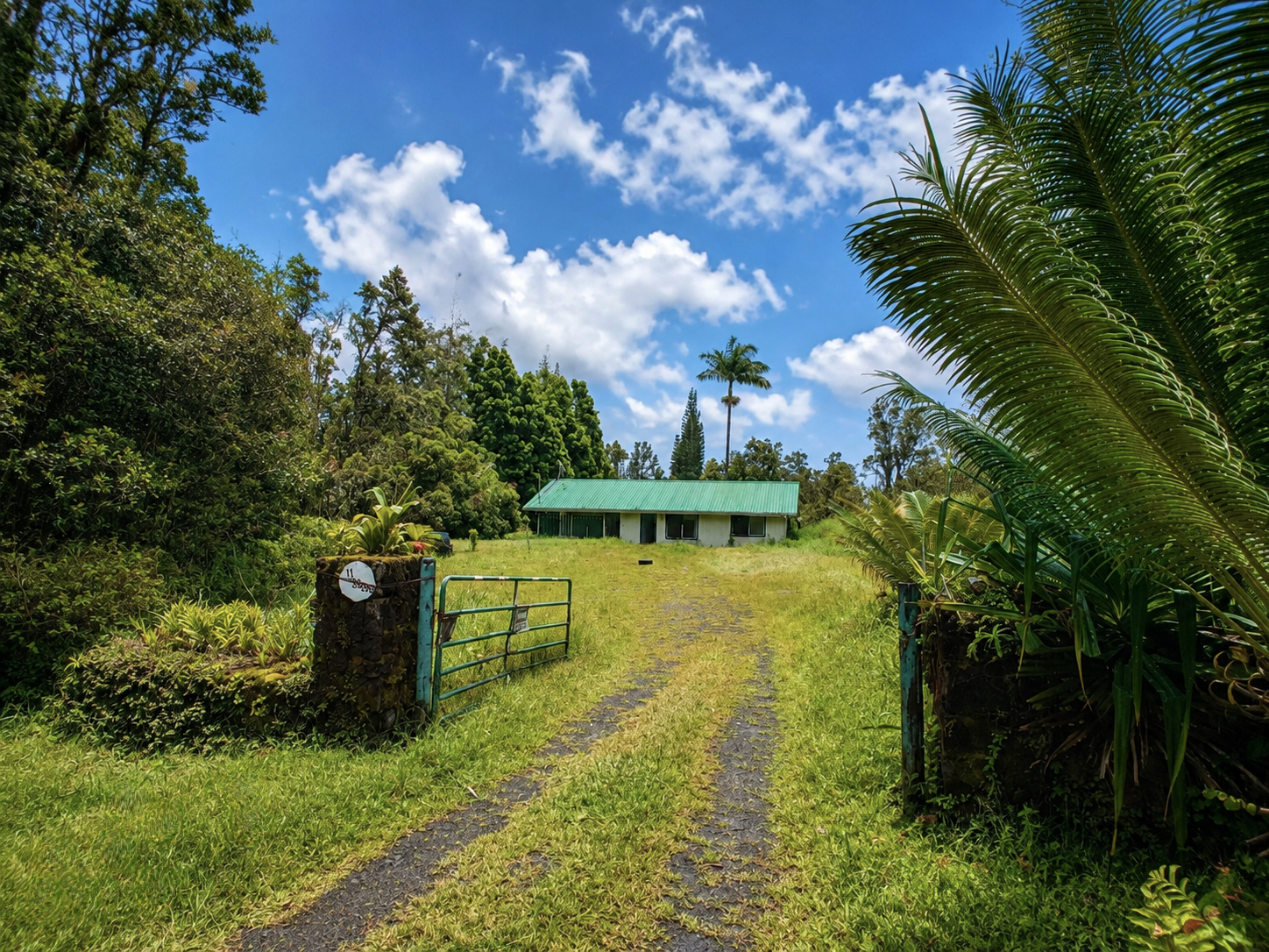 11-3336 Hibiscus St, Mountain View, HI 96771
