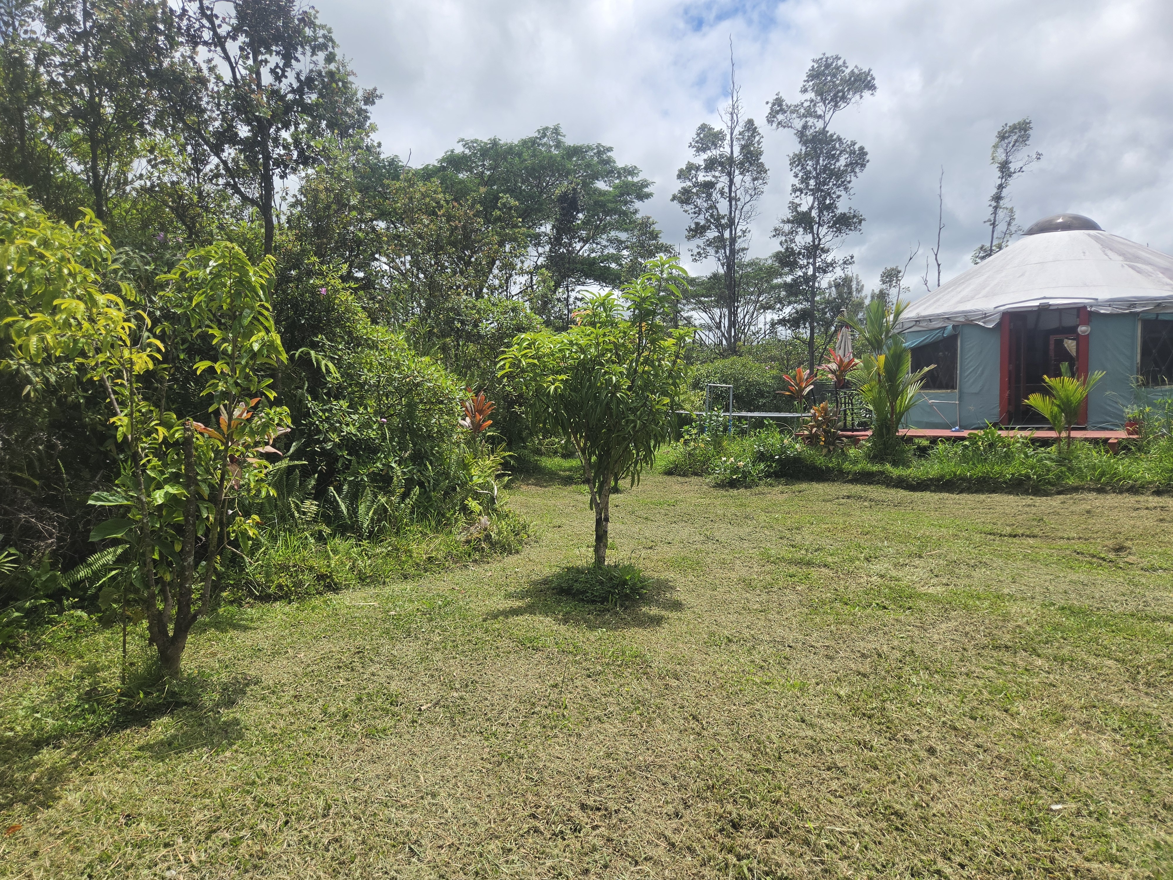 16-1942 35Th Ave, Kurtistown, HI 96760