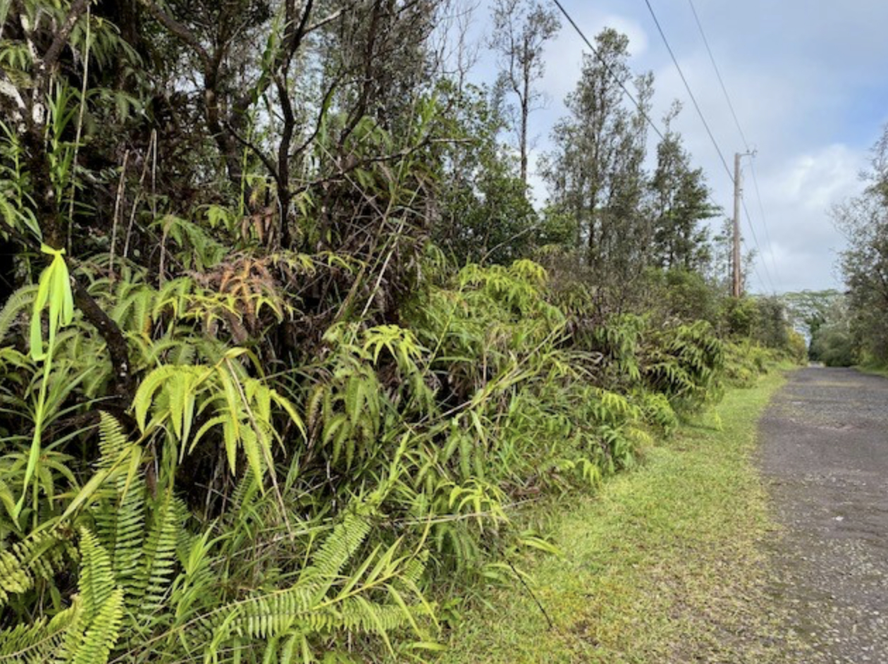 16-1564 Pulelehua Rd, Kurtistown, HI 96760