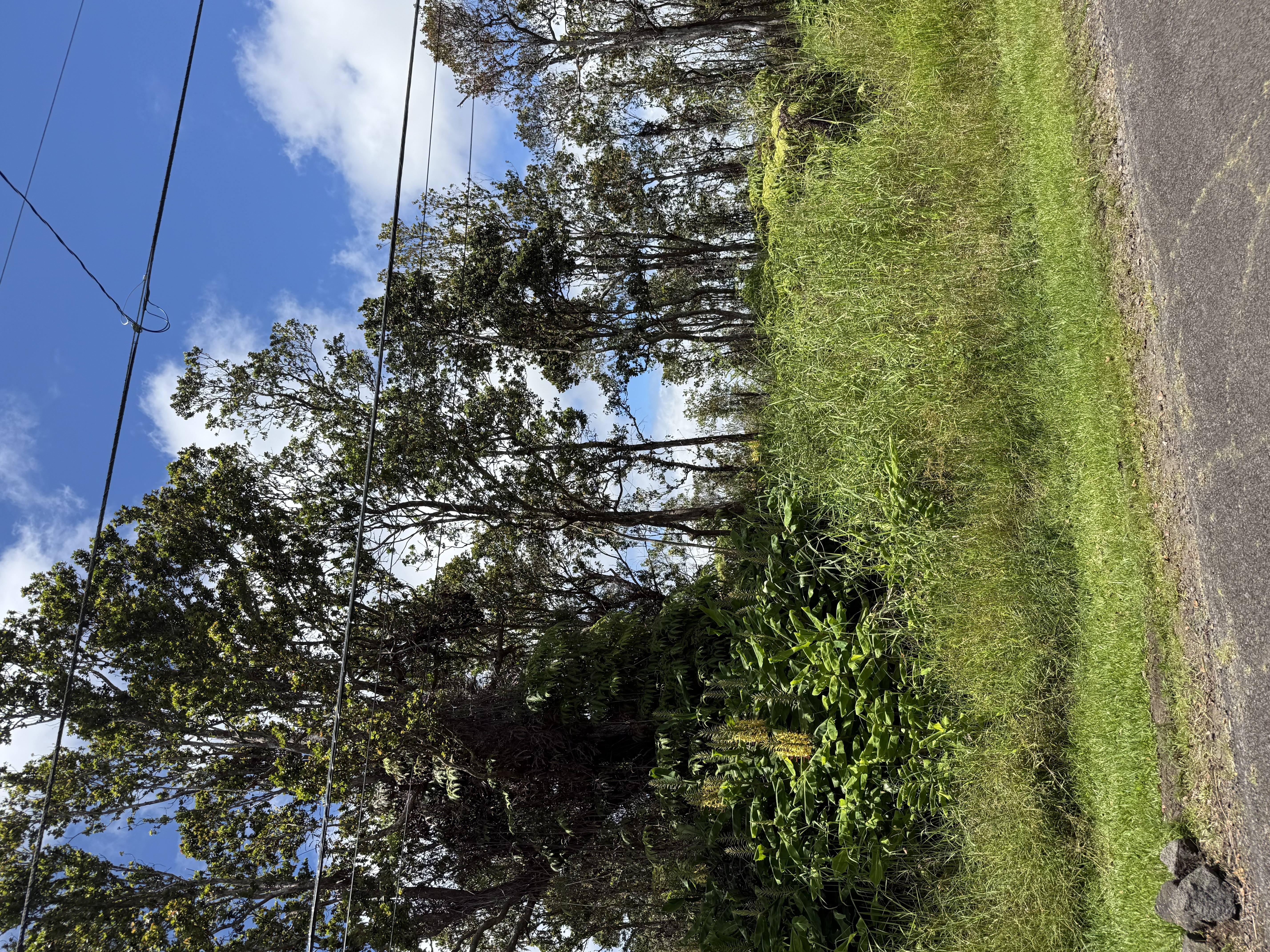 11-3306 Anuhea St, Volcano, HI 96785