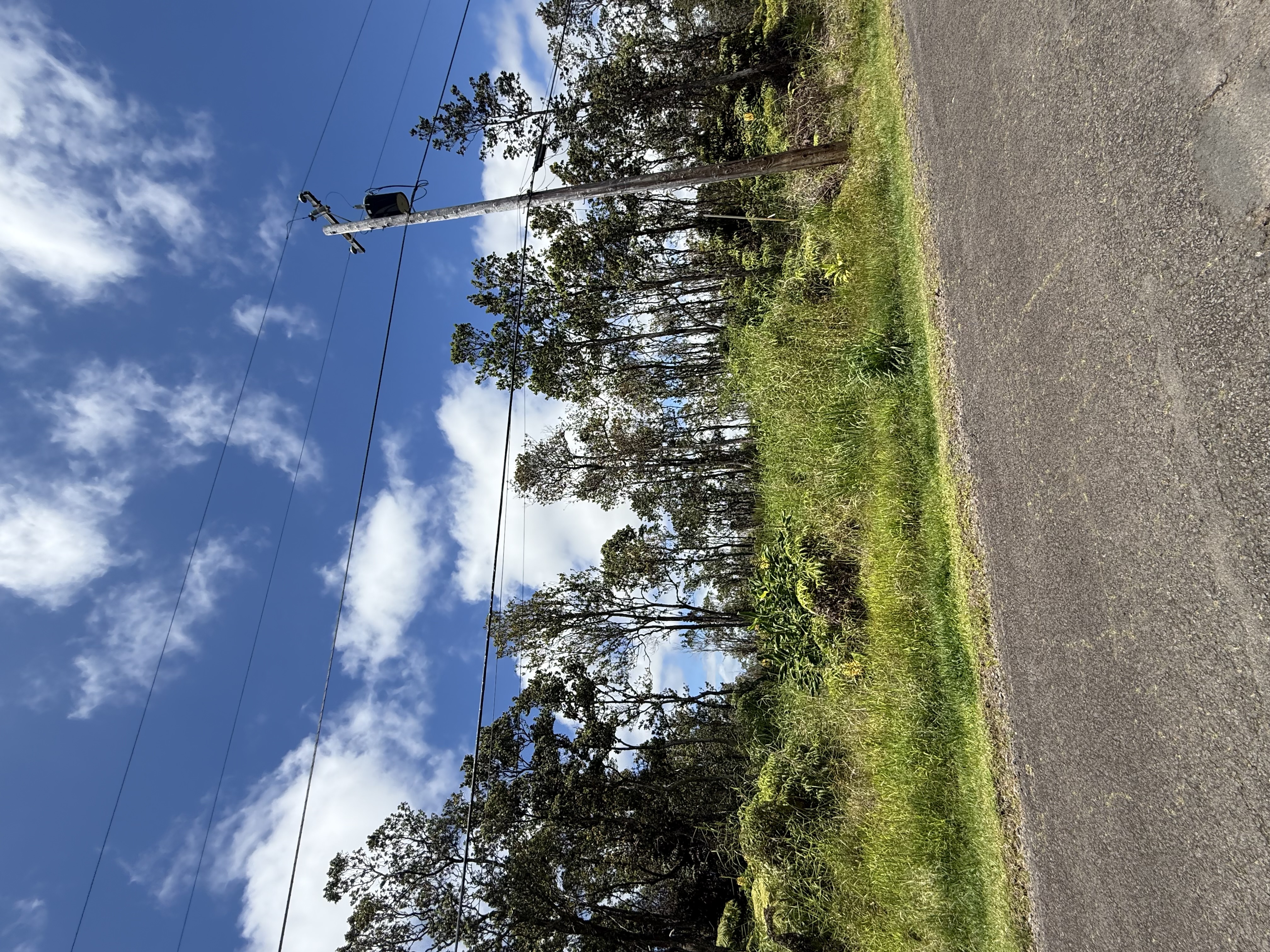 11-3308 Anuhea St, Volcano, HI 96785