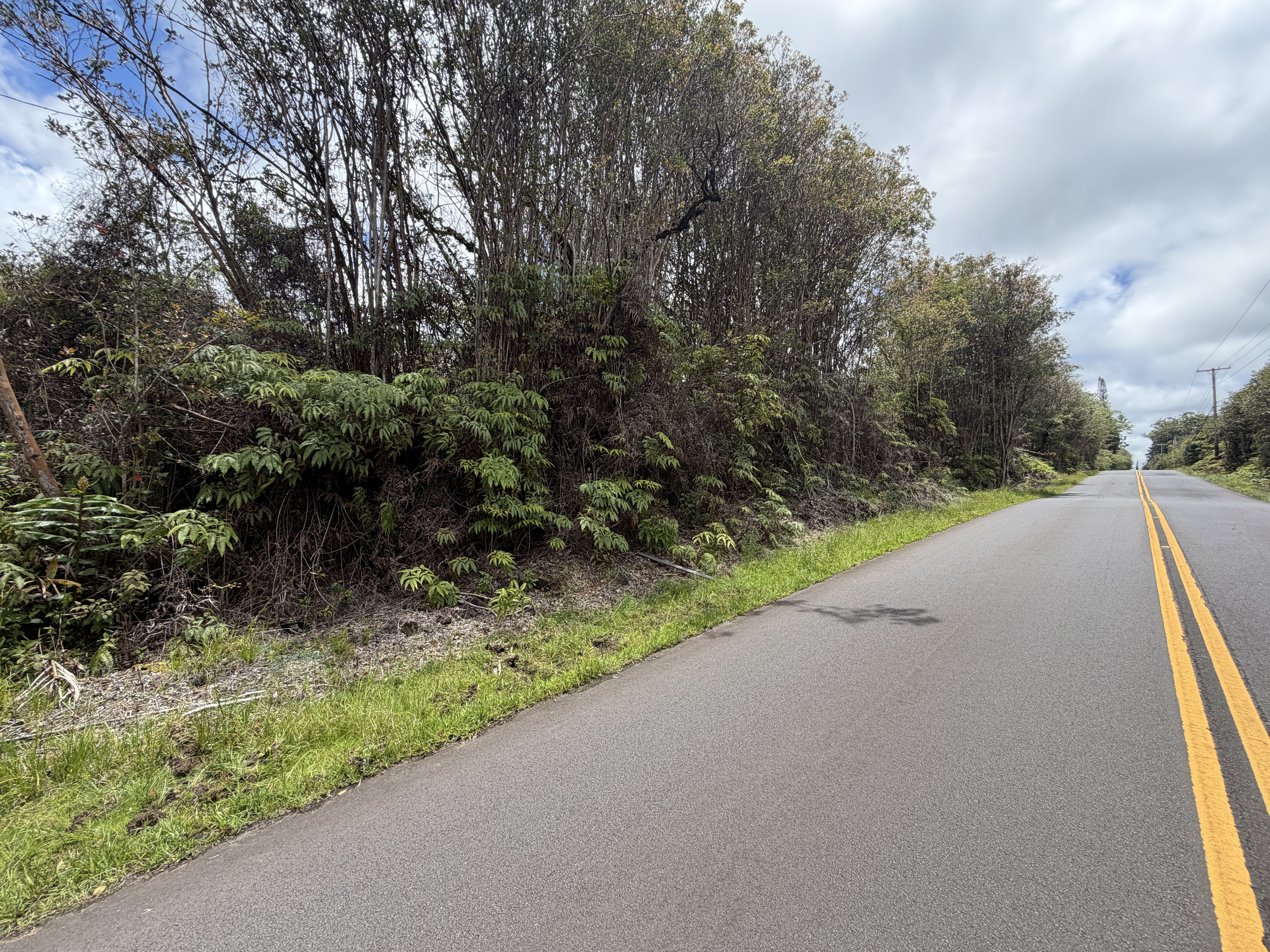 18-8069 Kulani Rd, Mountain View, HI 96771