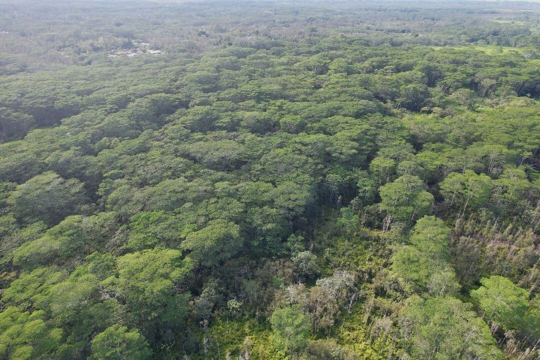 14-3845 Pahoa Kapoho Rd, Pahoa, HI 96778