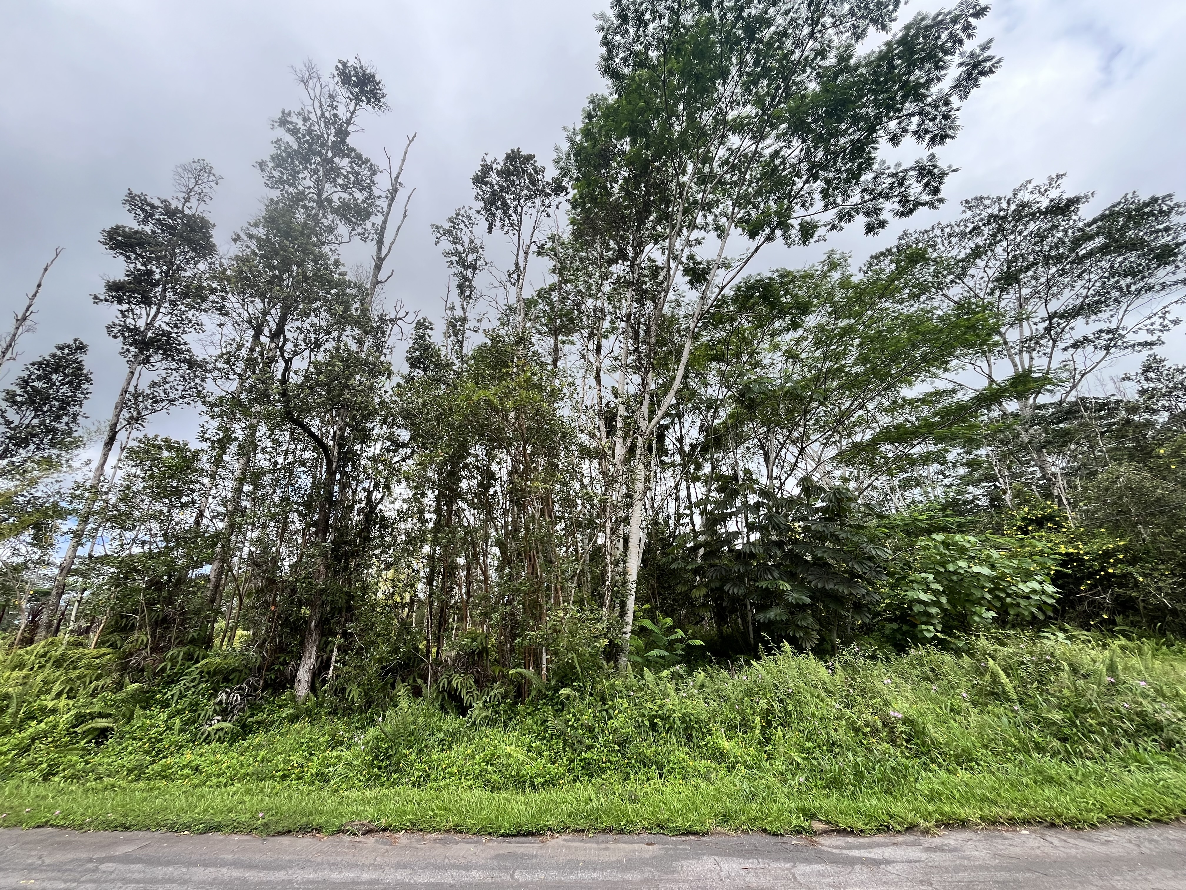 14-3368 Mauna Kea Rd, Pahoa, HI 96778
