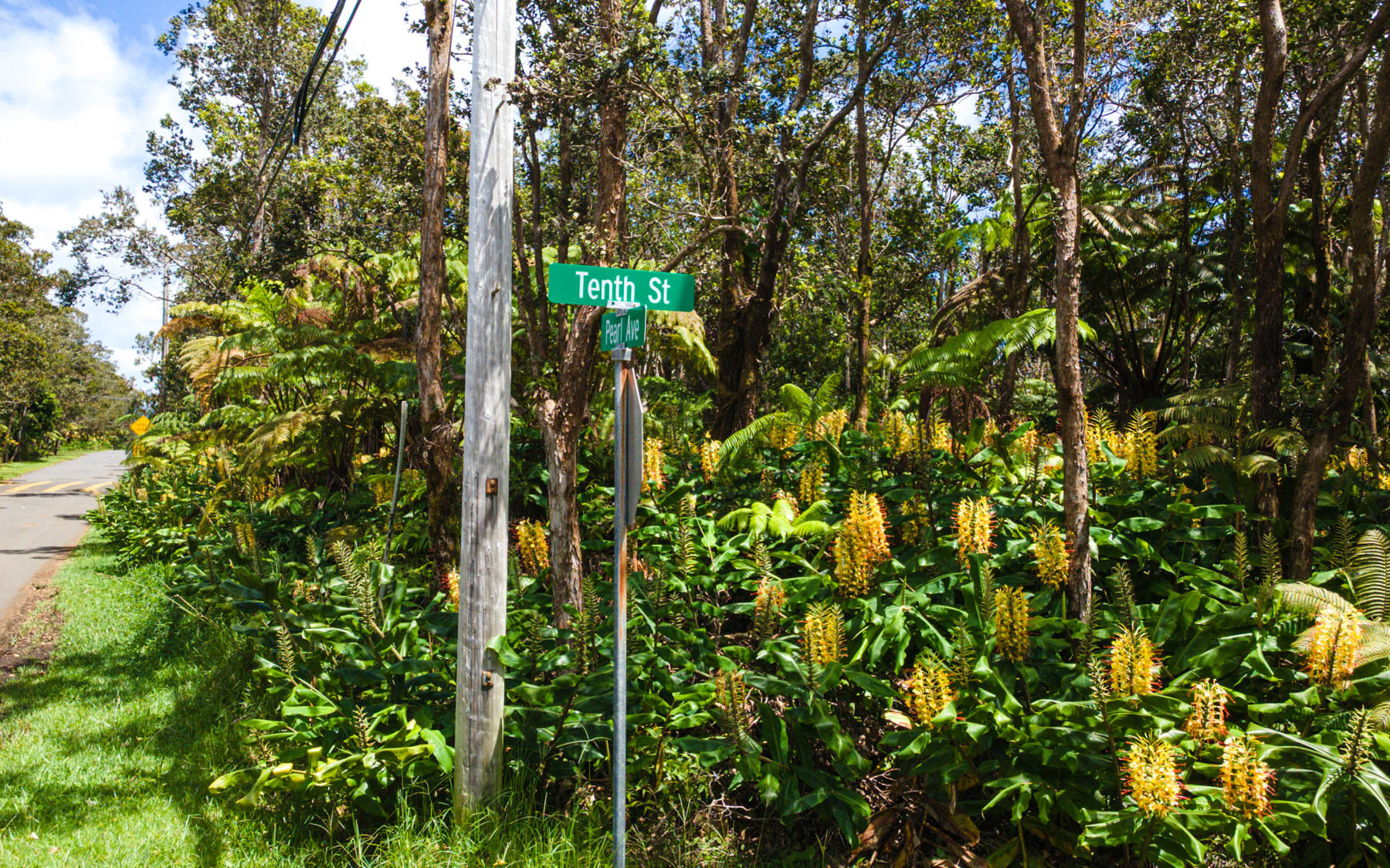 11-3878 10Th St, Volcano, HI 96785