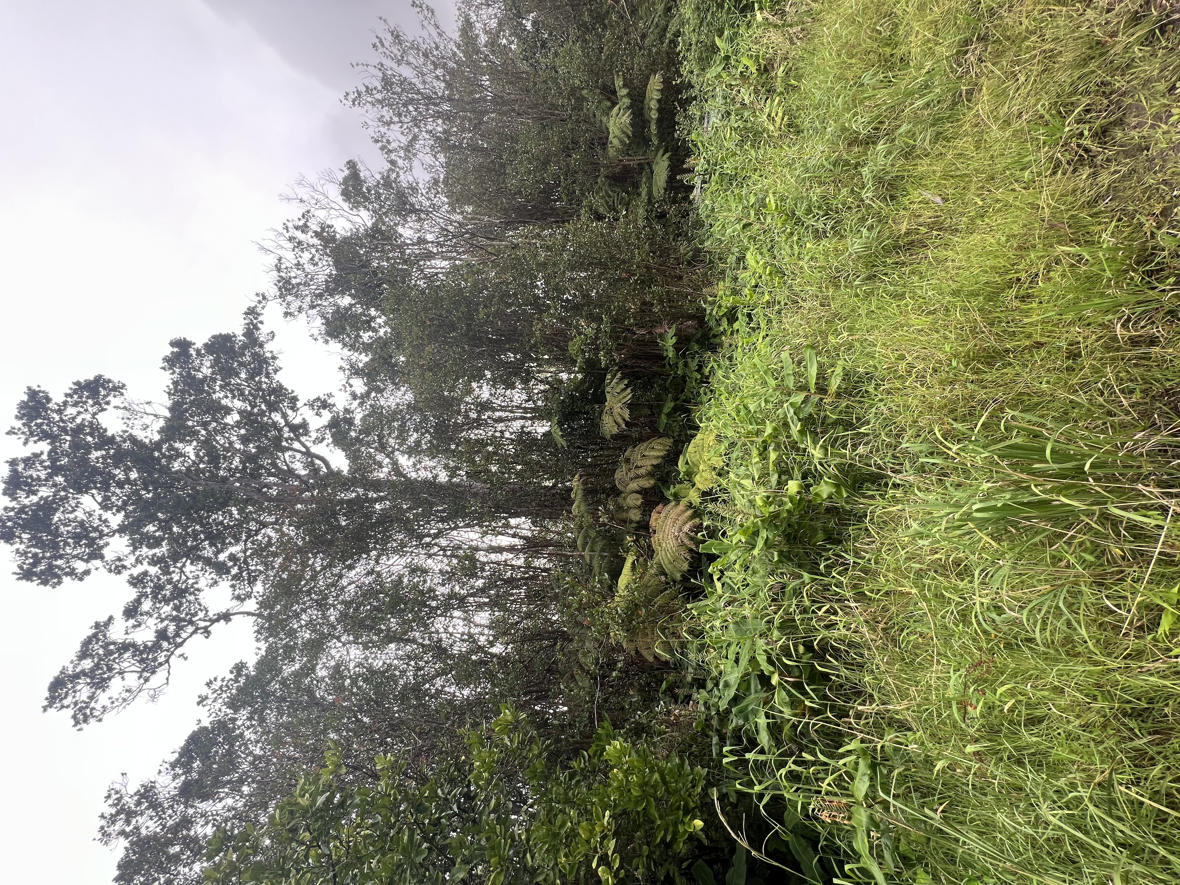 18-2319 Kakahiaka Uhane St, Mountain View, HI 96771