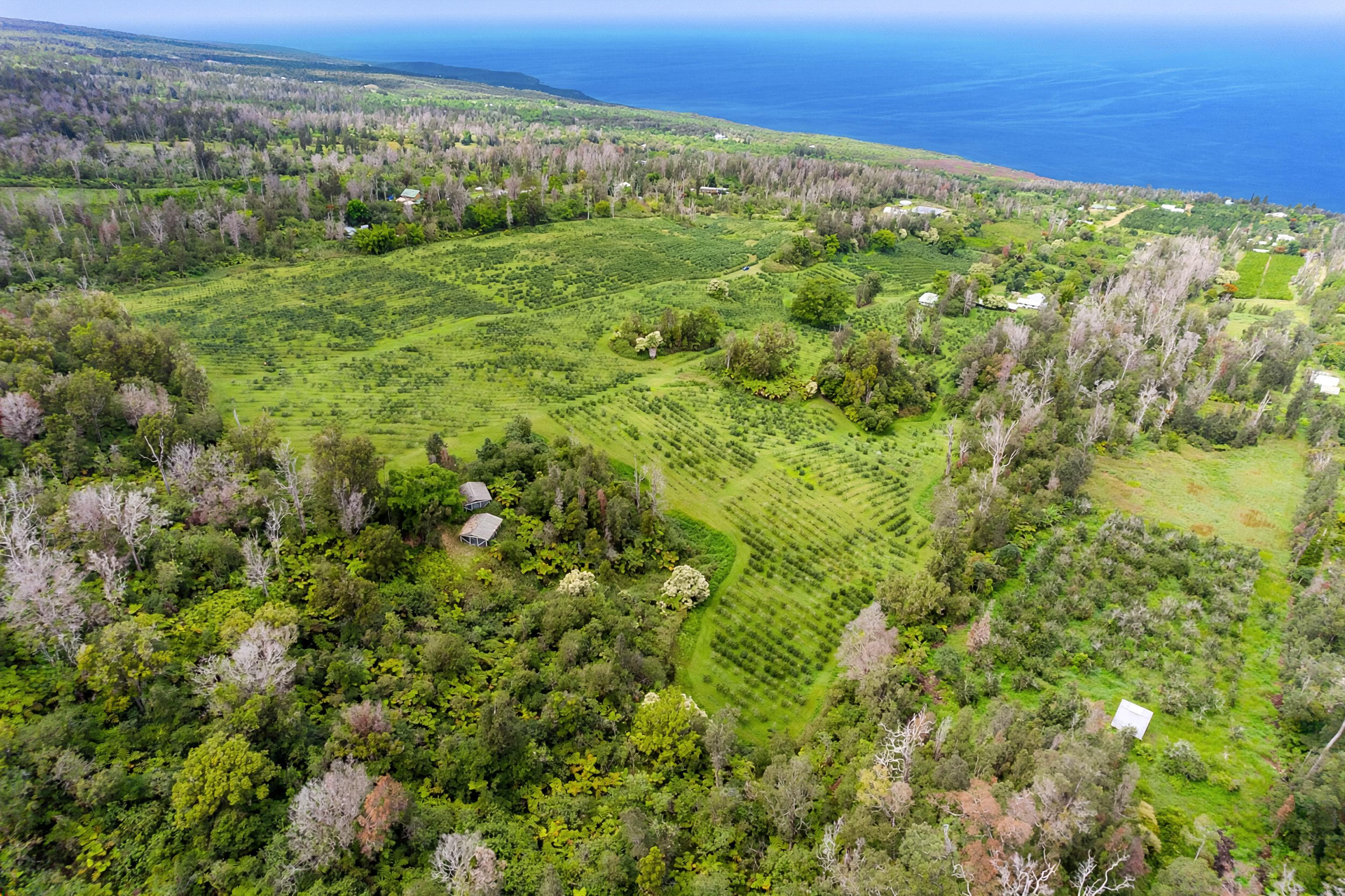 87-2854 Hawaii Belt Rd, Captain Cook, HI 96704